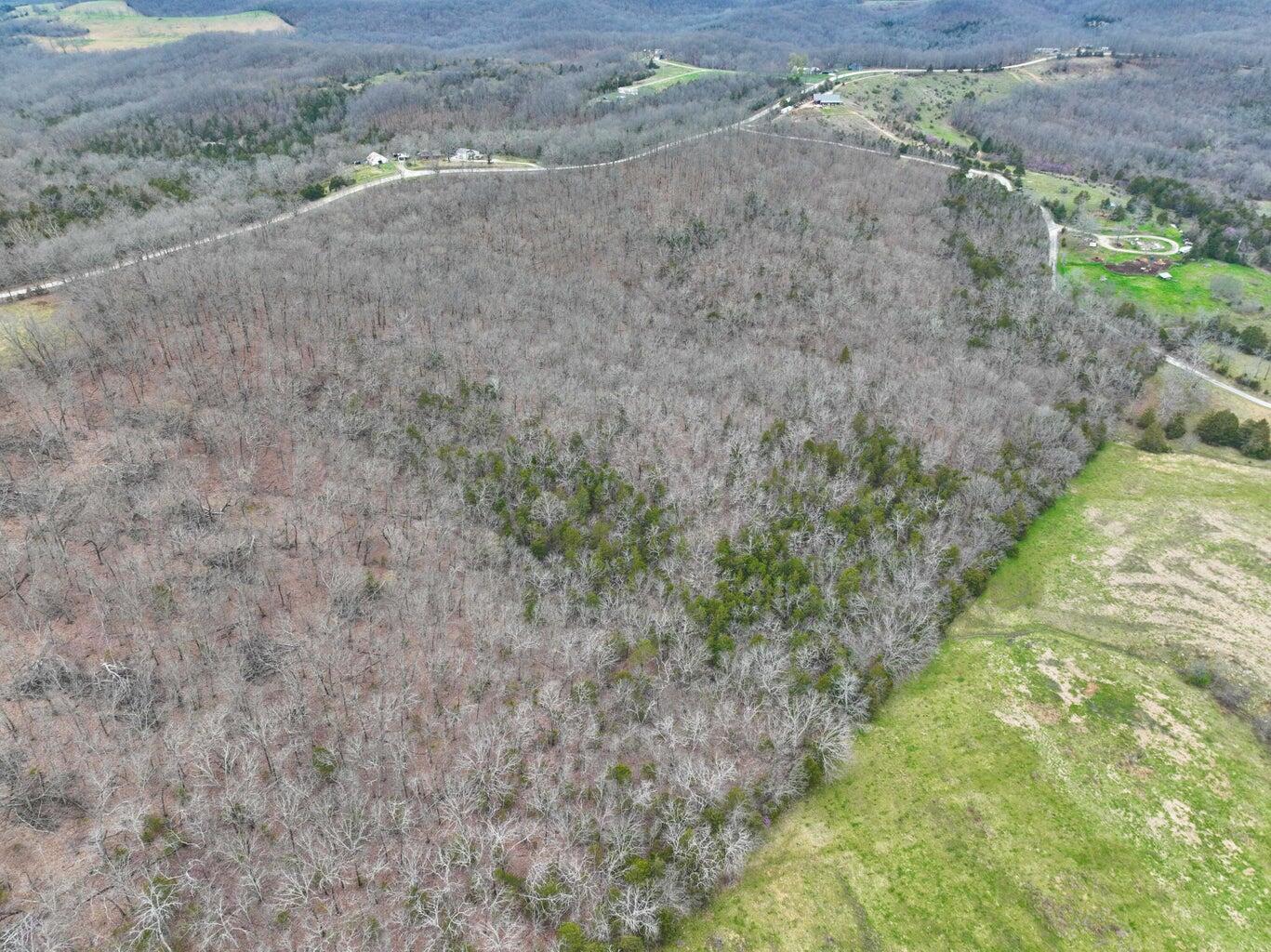 Photo 11 - Land for sale – 000 S Highway Uu   Chadwick, MO