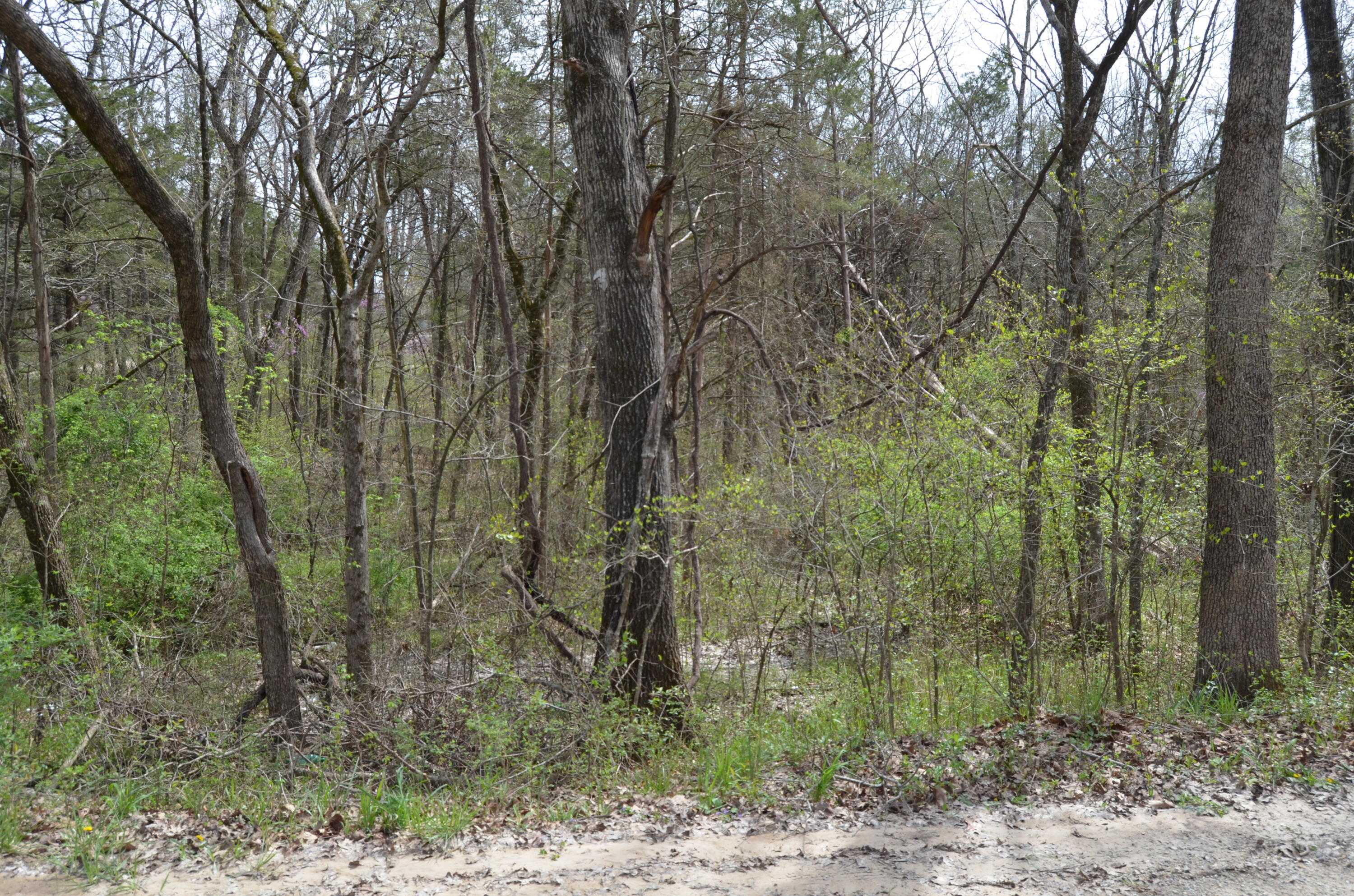 Land for sale – 000  Poplar Road  Merriam Woods, MO