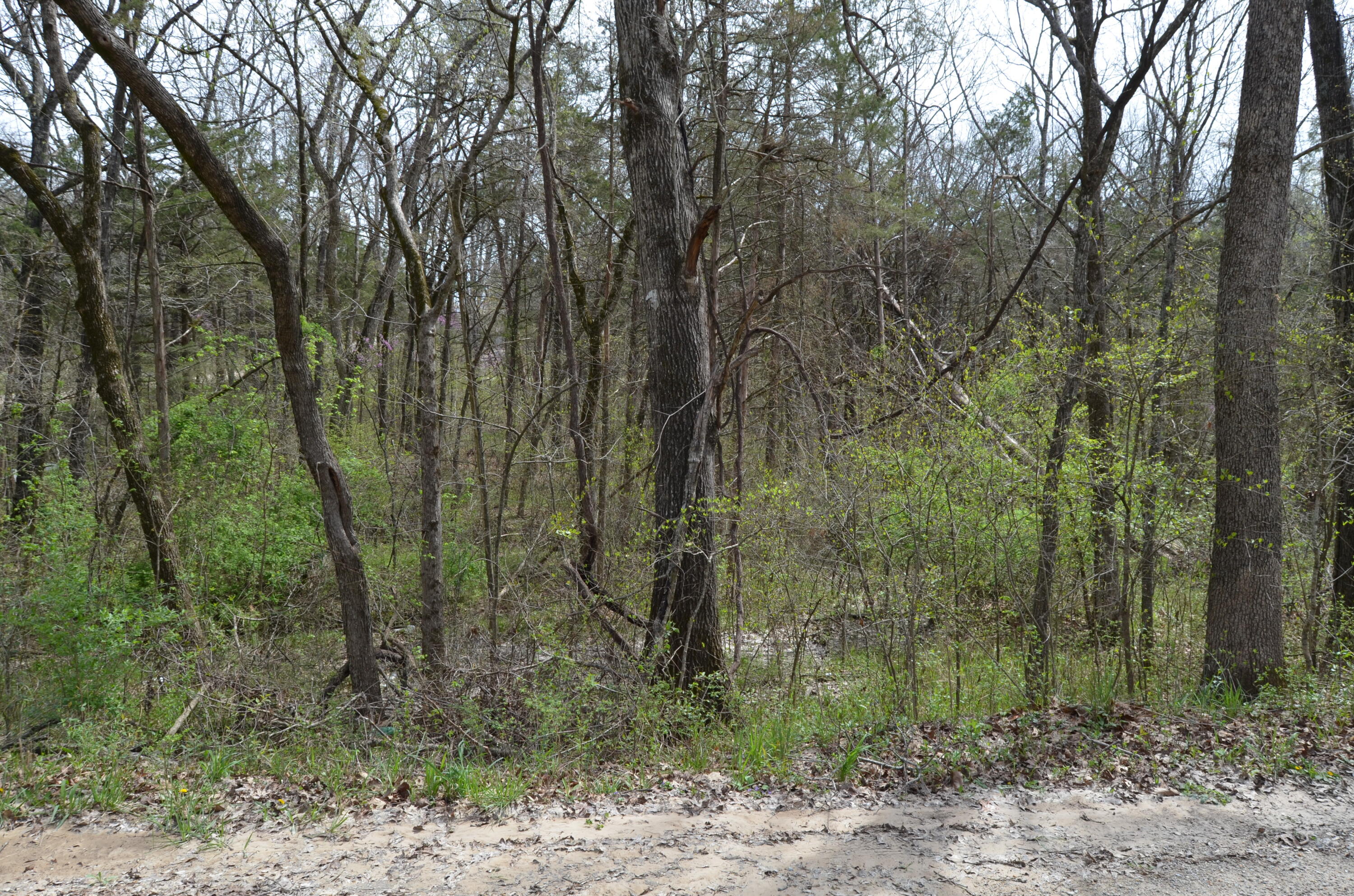 Photo 2 - Land for sale – 000  Poplar Road  Merriam Woods, MO
