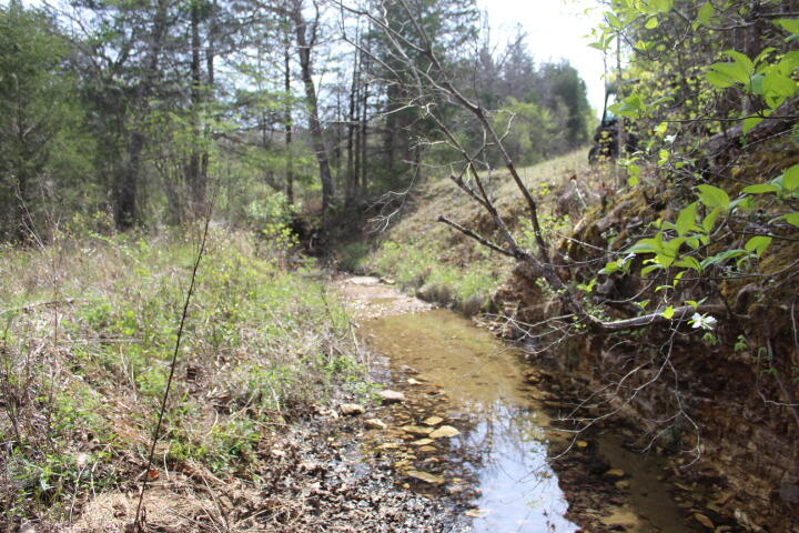 Photo 17 - Land for sale – 000  County Road 831   Gainesville, MO
