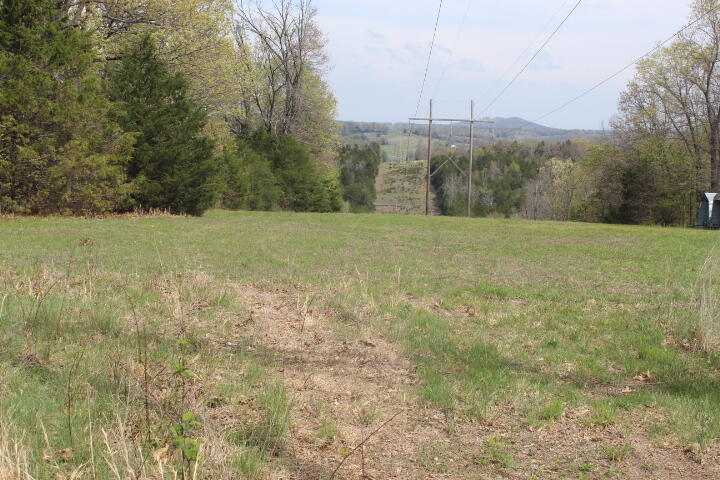 Photo 41 - Land for sale – 000  County Road 831   Gainesville, MO