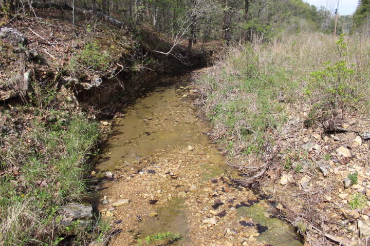 Photo 16 - Land for sale – 000  County Road 831   Gainesville, MO