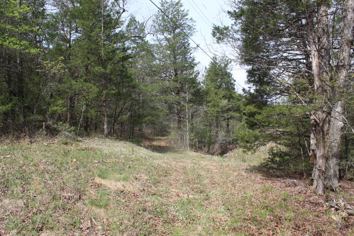 Photo 28 - Land for sale – 000  County Road 831   Gainesville, MO