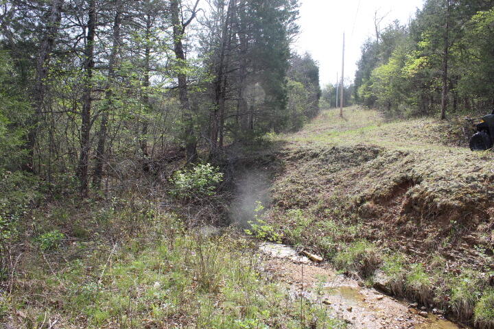 Photo 19 - Land for sale – 000  County Road 831   Gainesville, MO