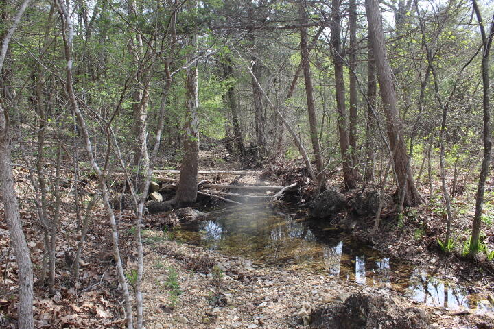 Photo 21 - Land for sale – 000  County Road 831   Gainesville, MO