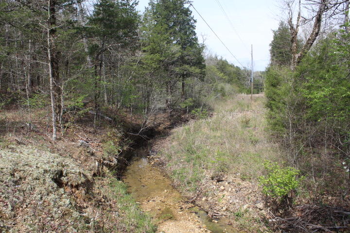 Photo 30 - Land for sale – 000  County Road 831   Gainesville, MO