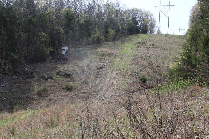 Photo 33 - Land for sale – 000  County Road 831   Gainesville, MO