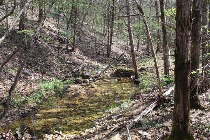 Photo 23 - Land for sale – 000  County Road 831   Gainesville, MO