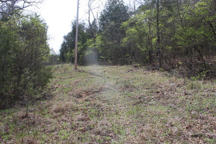 Photo 29 - Land for sale – 000  County Road 831   Gainesville, MO