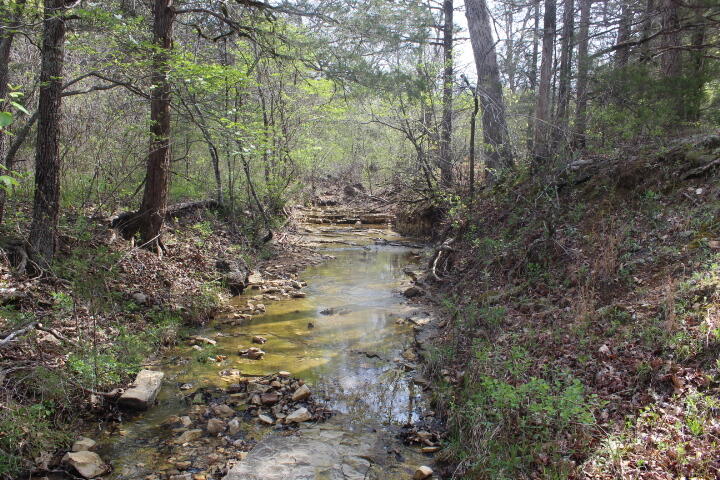 Photo 20 - Land for sale – 000  County Road 831   Gainesville, MO
