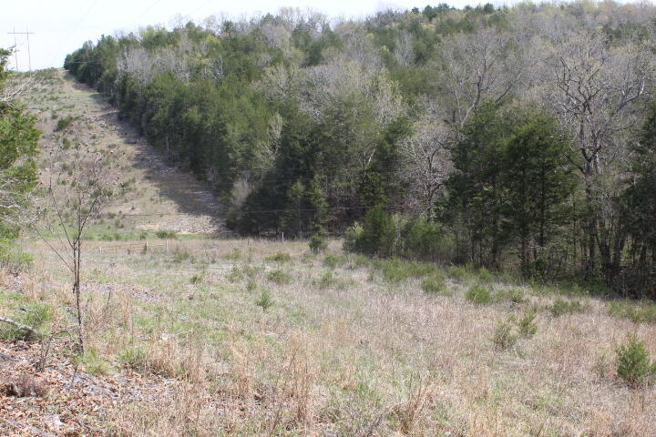 Photo 31 - Land for sale – 000  County Road 831   Gainesville, MO
