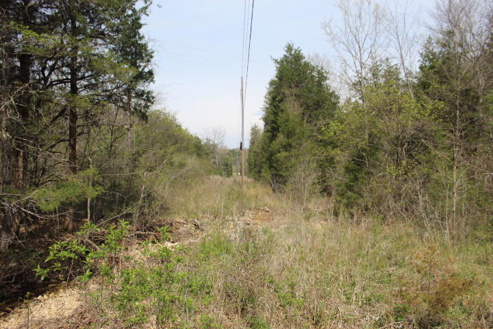 Photo 18 - Land for sale – 000  County Road 831   Gainesville, MO