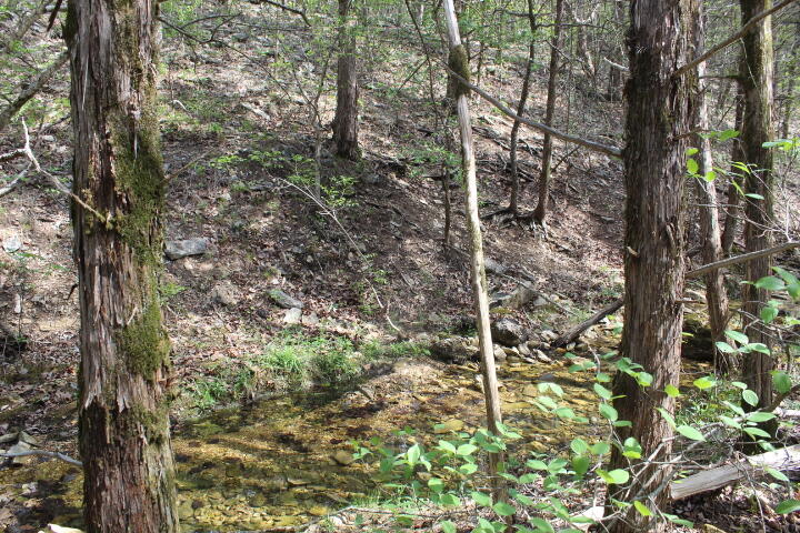Photo 24 - Land for sale – 000  County Road 831   Gainesville, MO