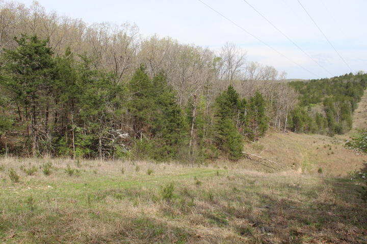 Photo 40 - Land for sale – 000  County Road 831   Gainesville, MO
