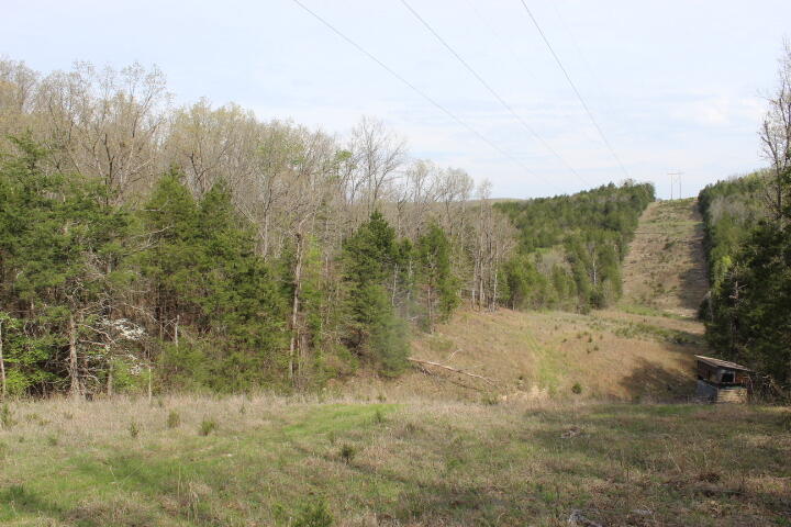 Photo 3 - Land for sale – 000  County Road 831   Gainesville, MO