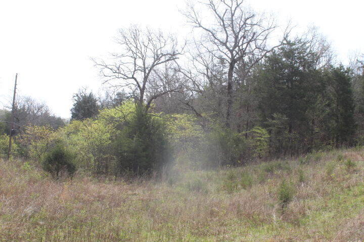 Photo 13 - Land for sale – 000  County Road 831   Gainesville, MO