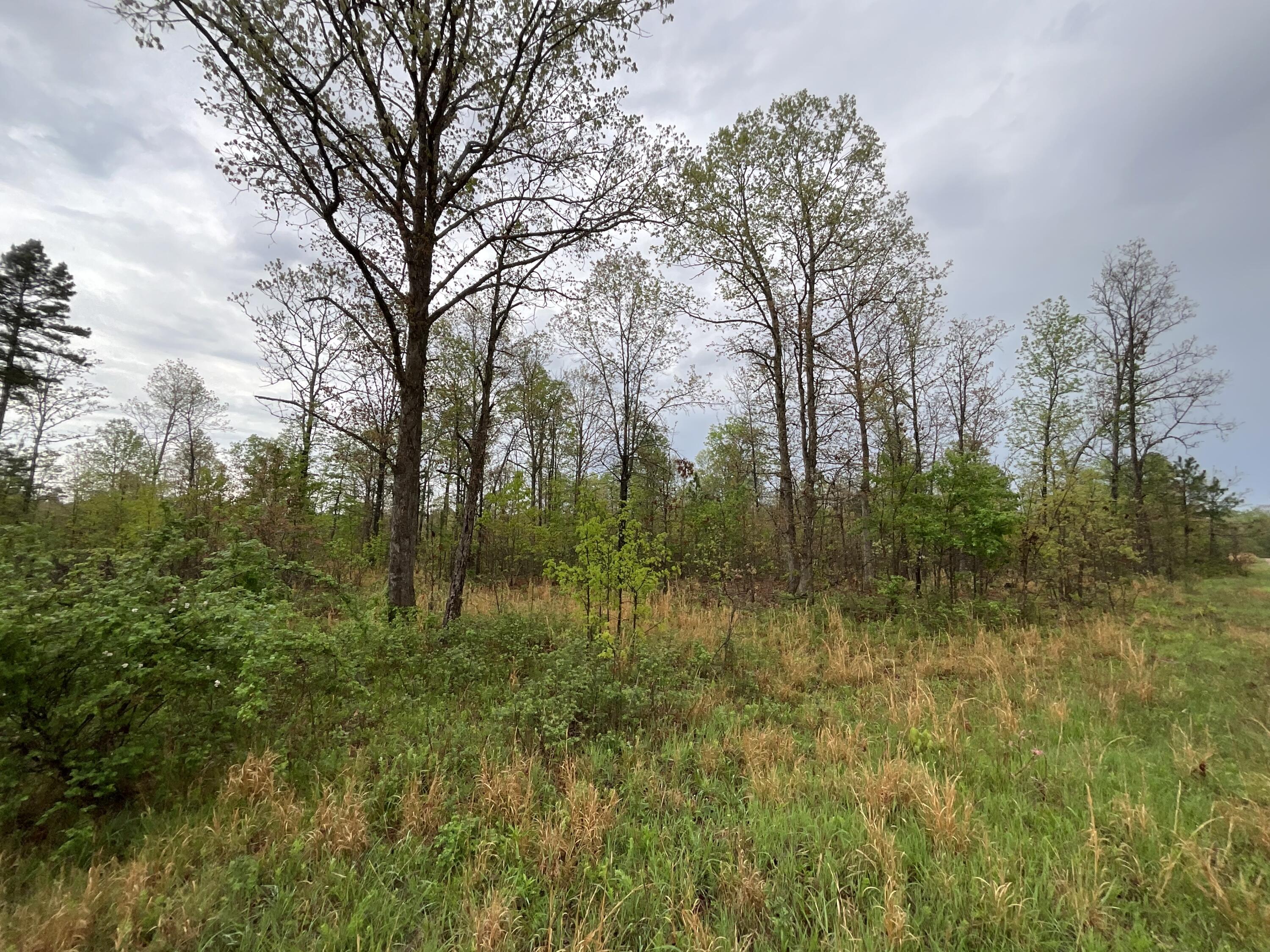 Photo 2 - Land for sale – Lot 9  Lake Way  Winona, MO