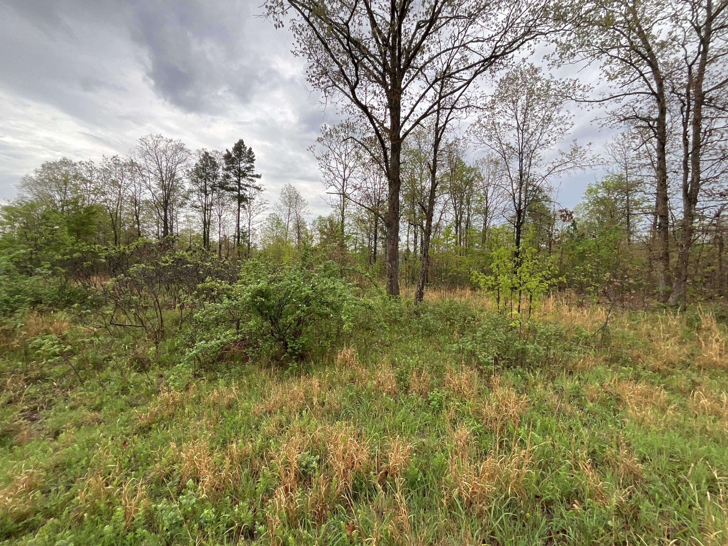 Photo 3 - Land for sale – Lot 9  Lake Way  Winona, MO