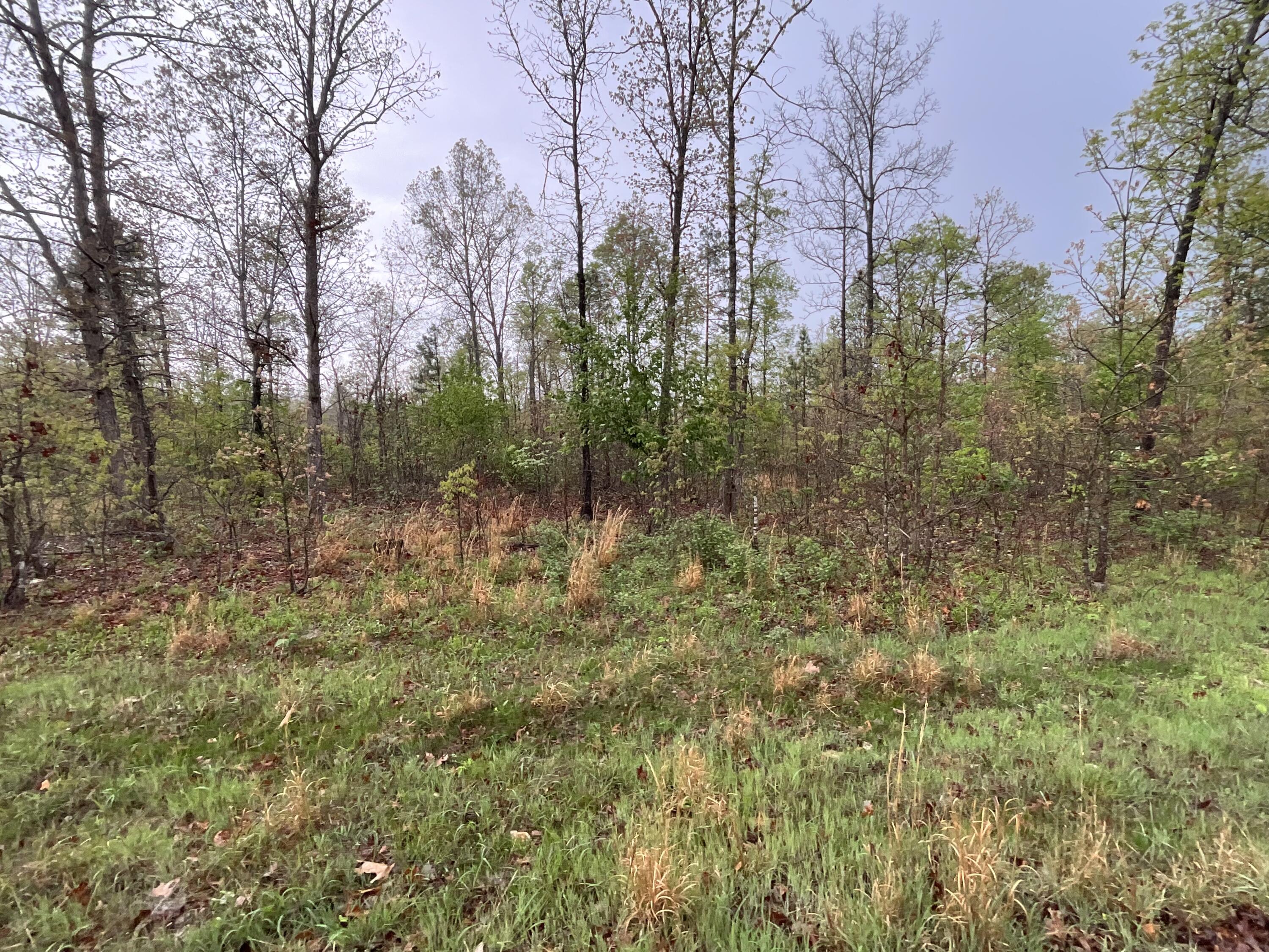 Land for sale – Lot 9  Lake Way  Winona, MO
