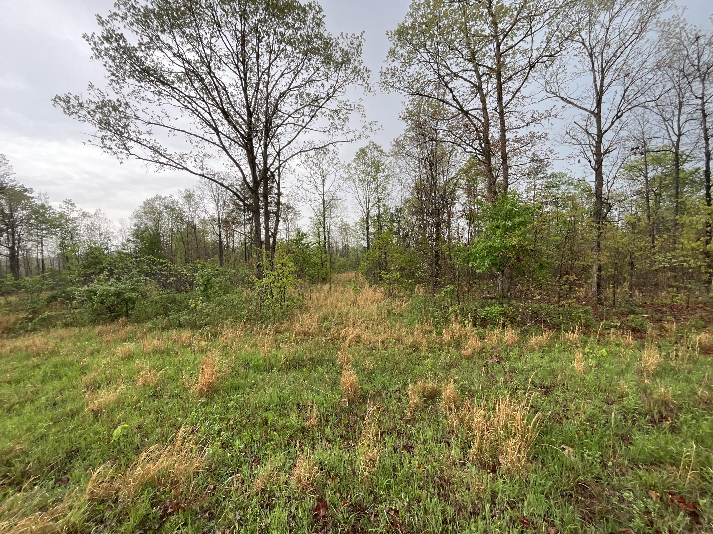 Photo 4 - Land for sale – Lot 9  Lake Way  Winona, MO
