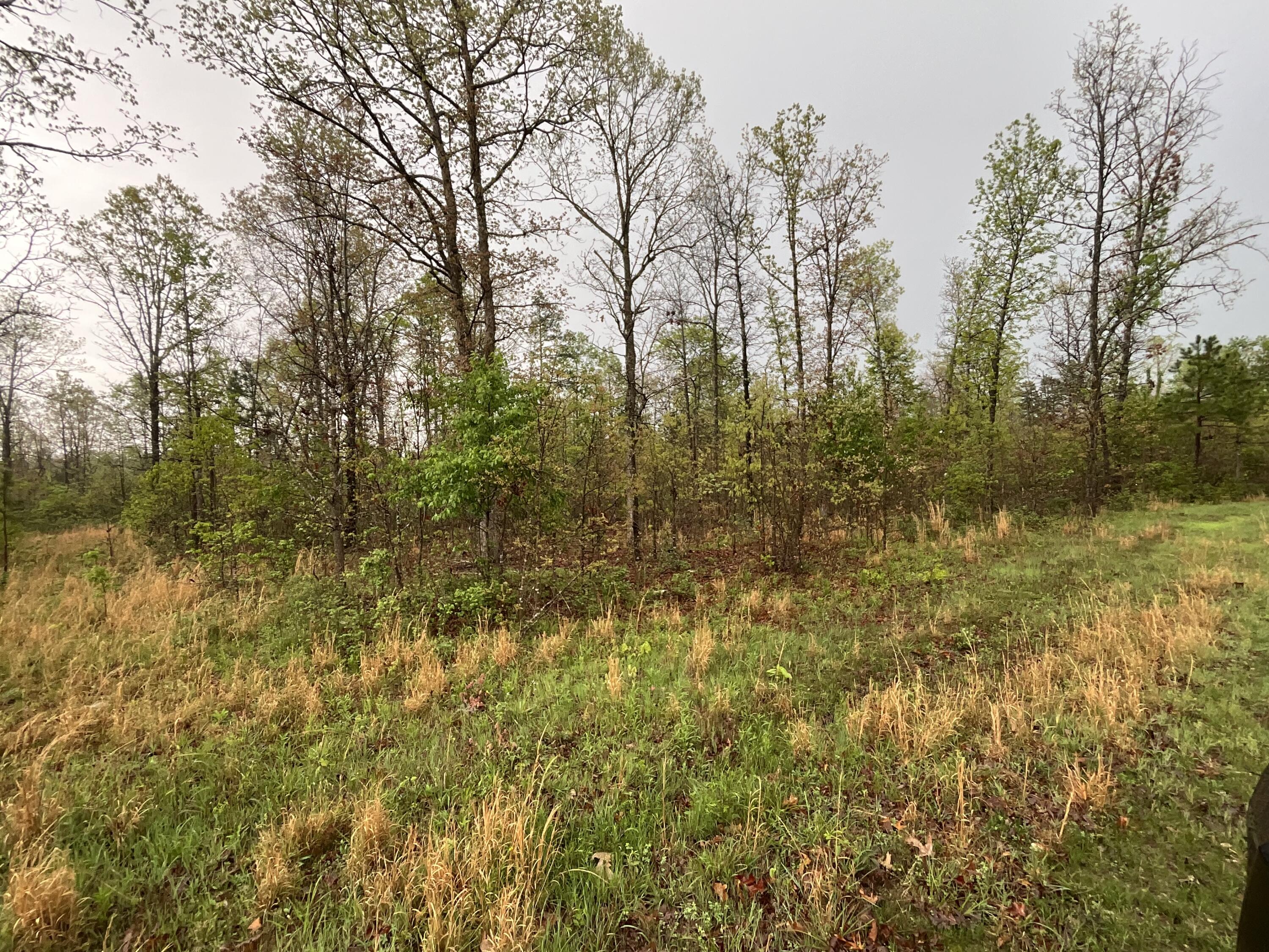 Photo 5 - Land for sale – Lot 9  Lake Way  Winona, MO