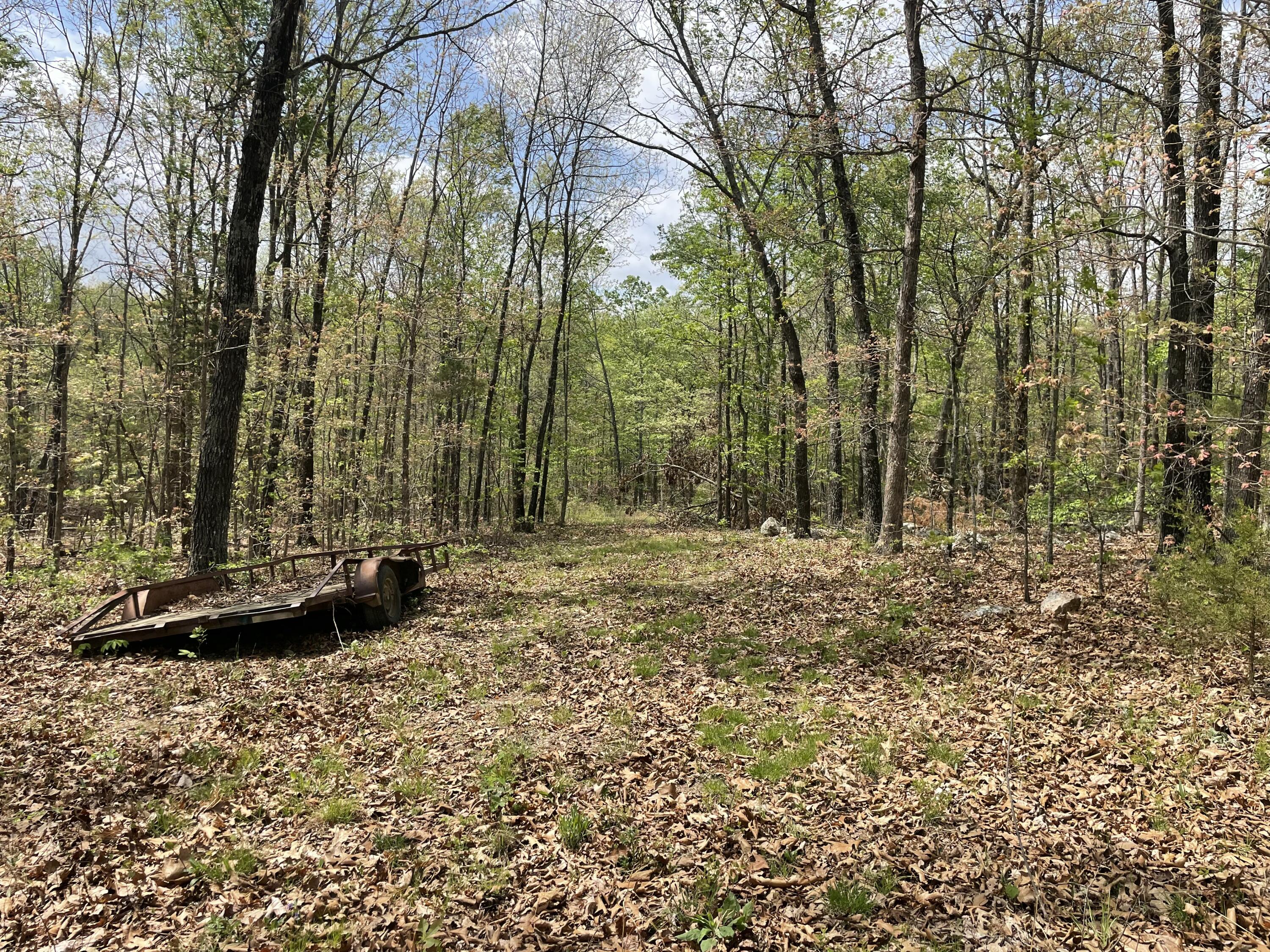 Photo 7 - Land for sale – 000  State Hwy N Tract B   Ava, MO