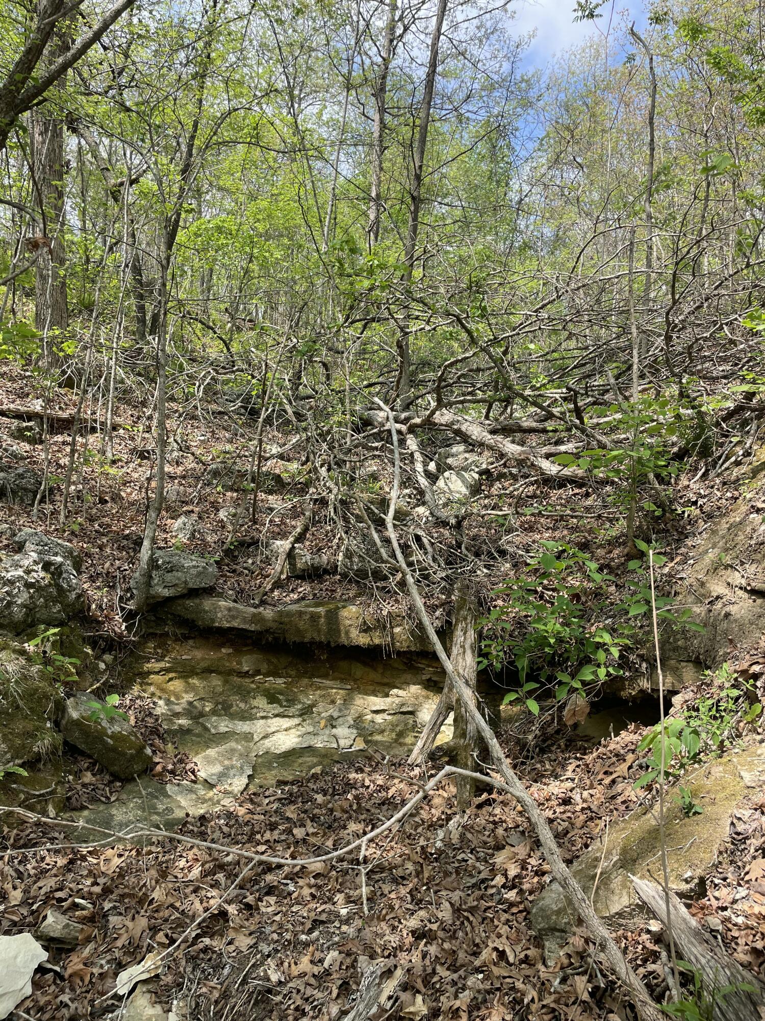 Photo 14 - Land for sale – 000  State Hwy N Tract B   Ava, MO