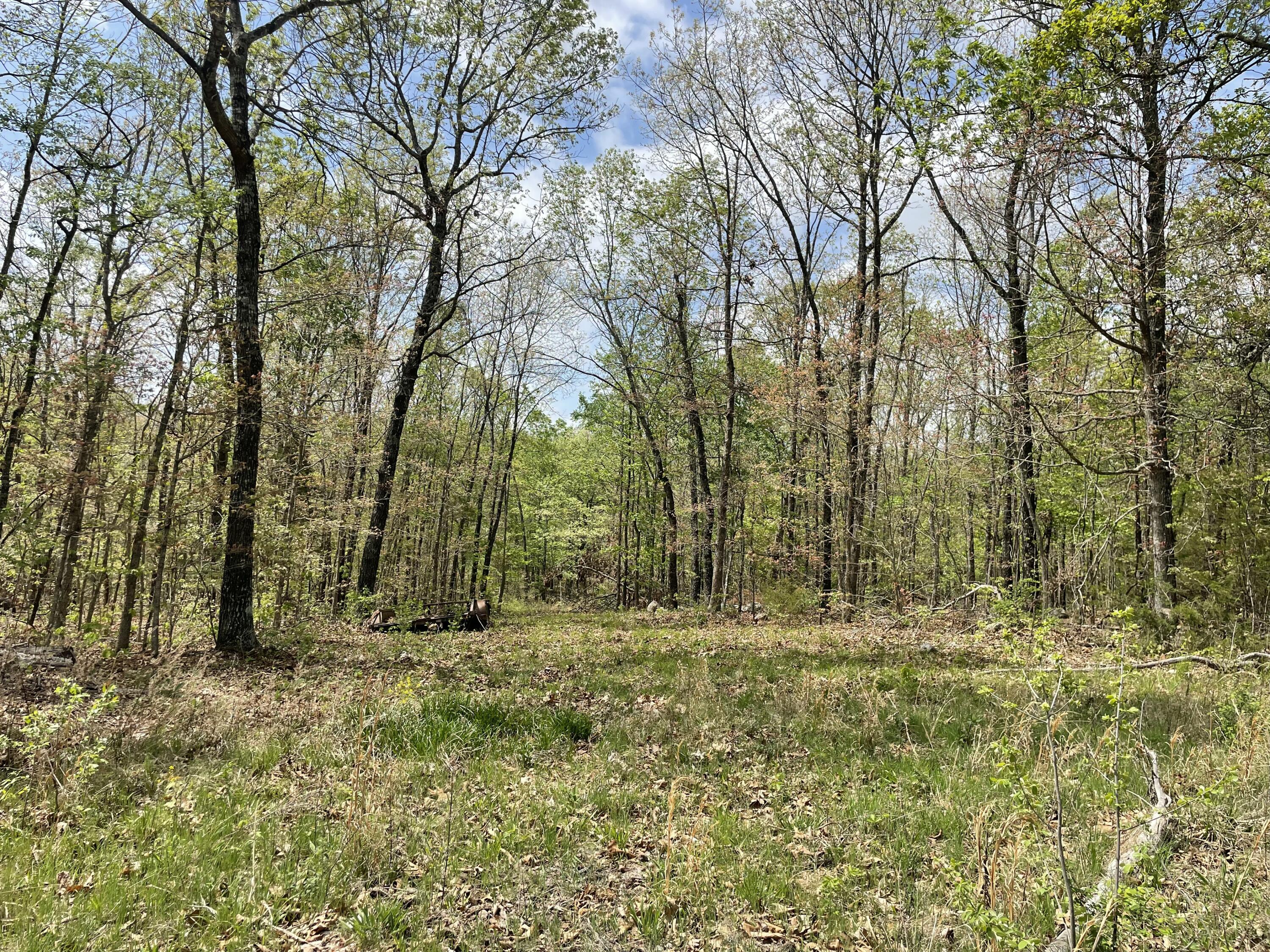 Photo 5 - Land for sale – 000  State Hwy N Tract B   Ava, MO