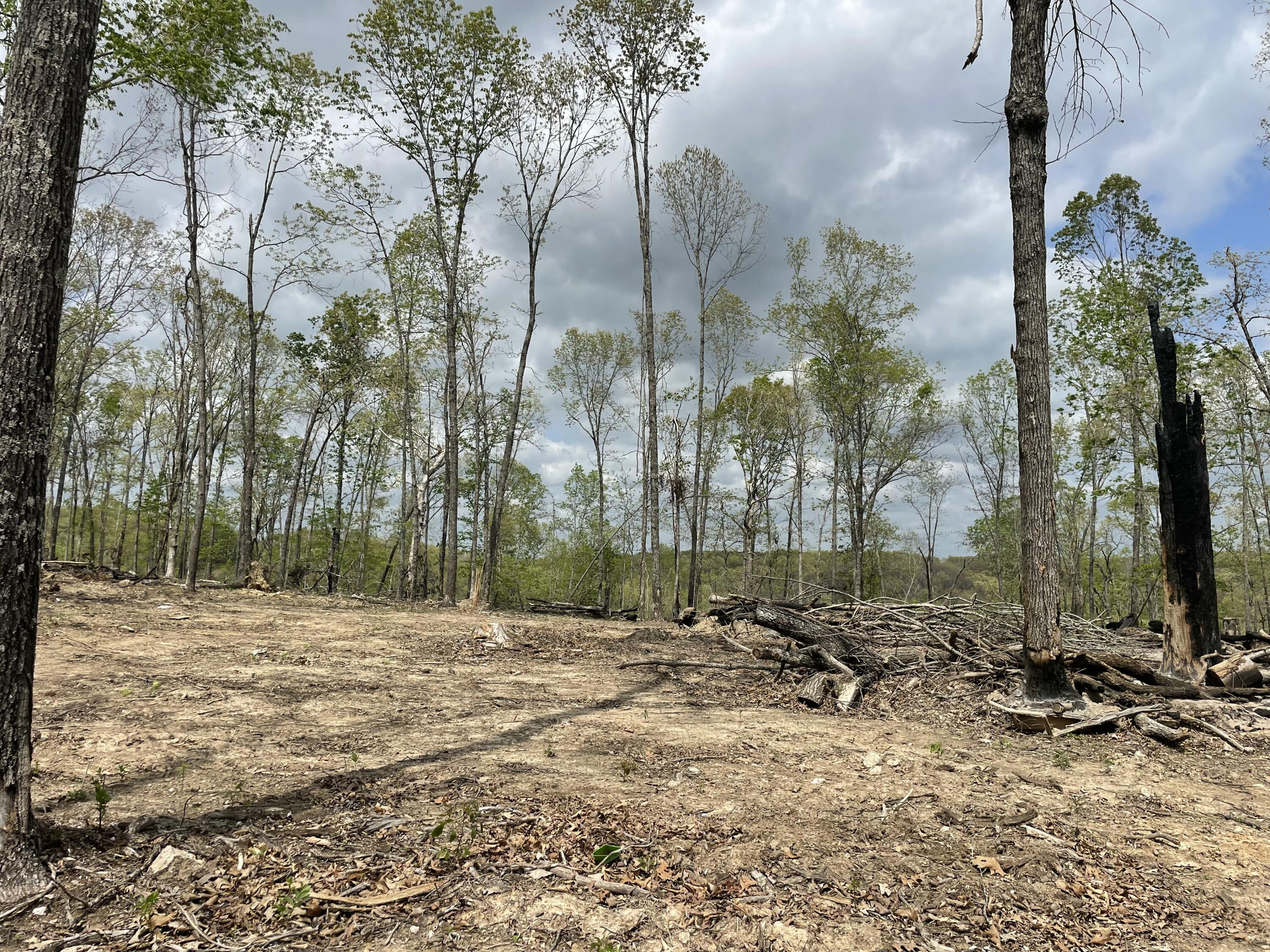 Photo 8 - Land for sale – 000  St. Hwy N Tract D   Ava, MO