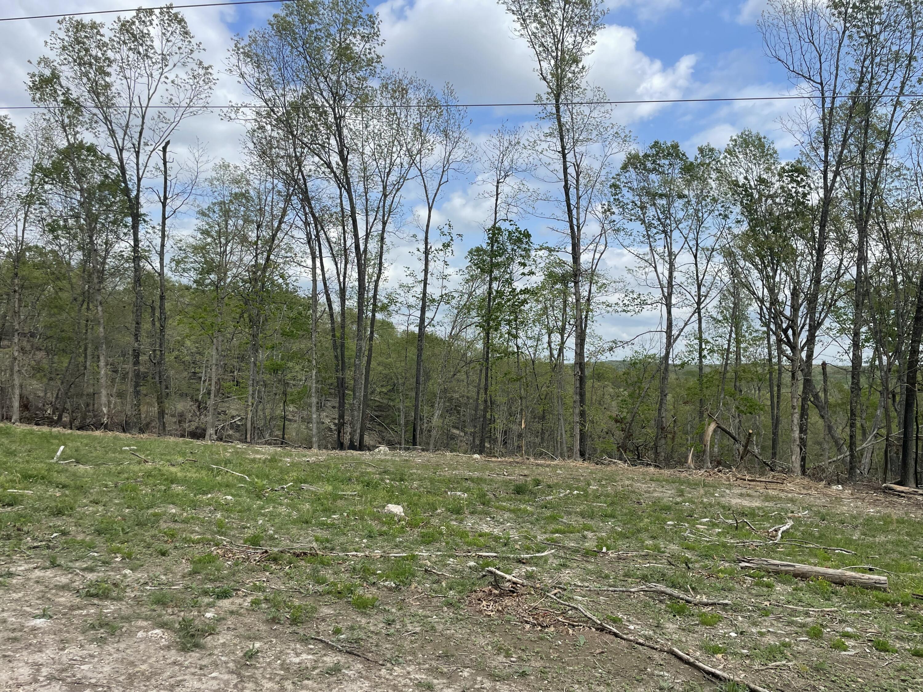 Photo 11 - Land for sale – 000  St. Hwy N Tract D   Ava, MO