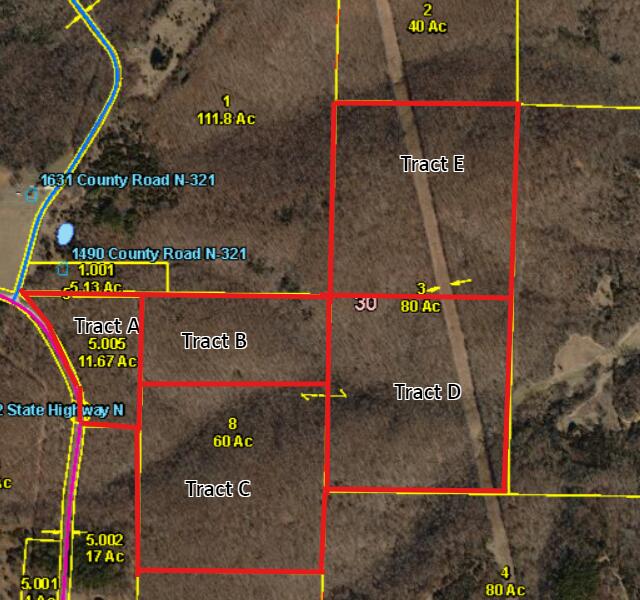 Photo 2 - Land for sale – 000  St Hwy N Tract E   Ava, MO