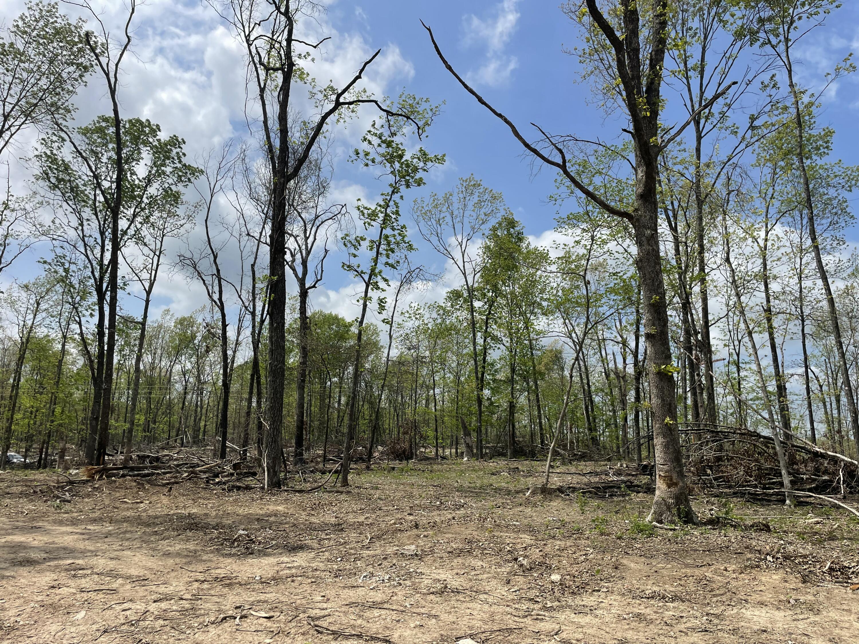 Photo 55 - Land for sale – 000  State Hwy N, Tract G   Ava, MO