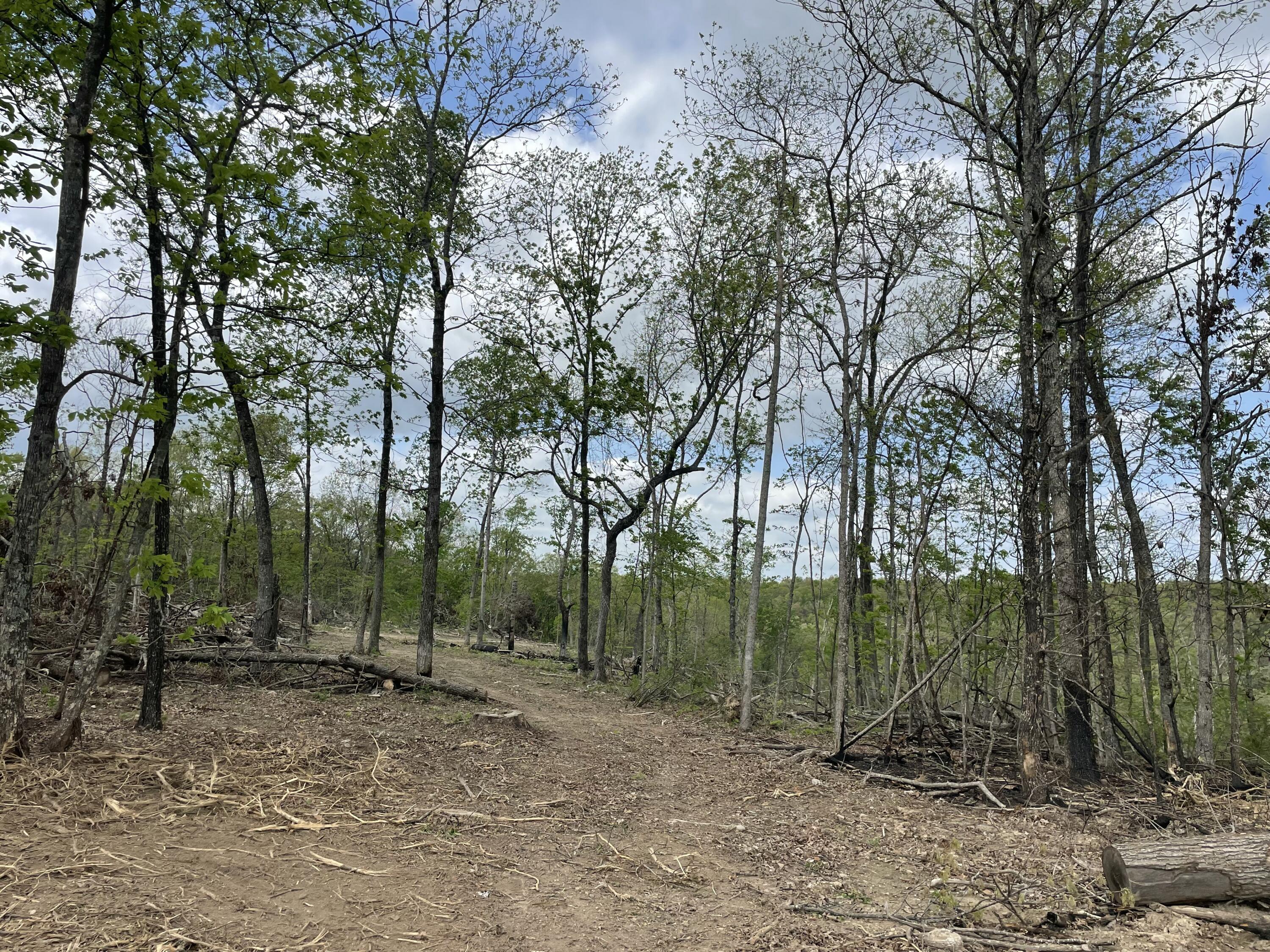 Photo 36 - Land for sale – 000  State Hwy N, Tract G   Ava, MO