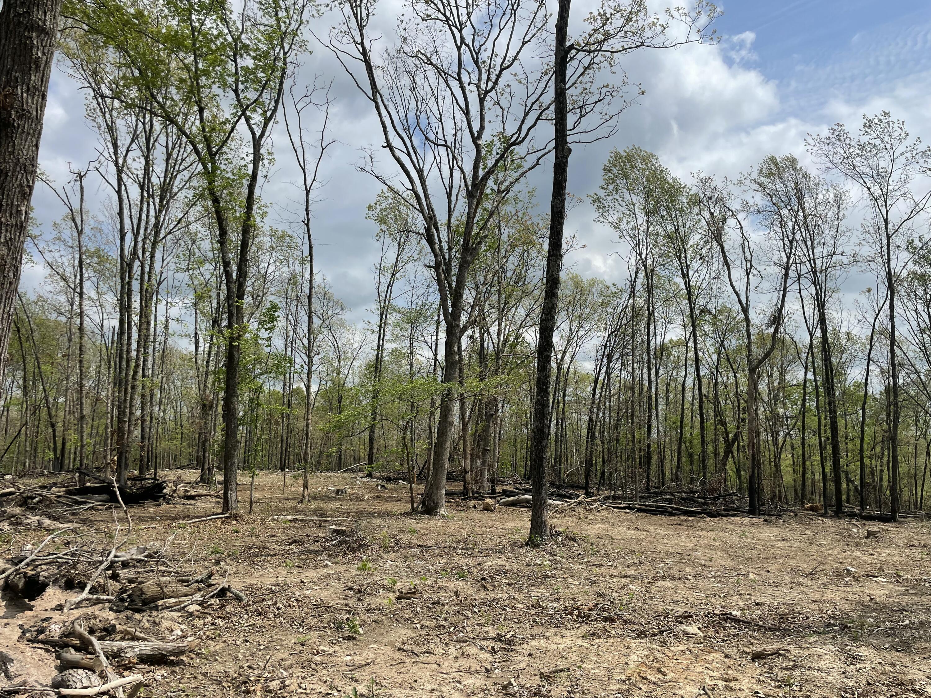 Photo 43 - Land for sale – 000  State Hwy N, Tract G   Ava, MO