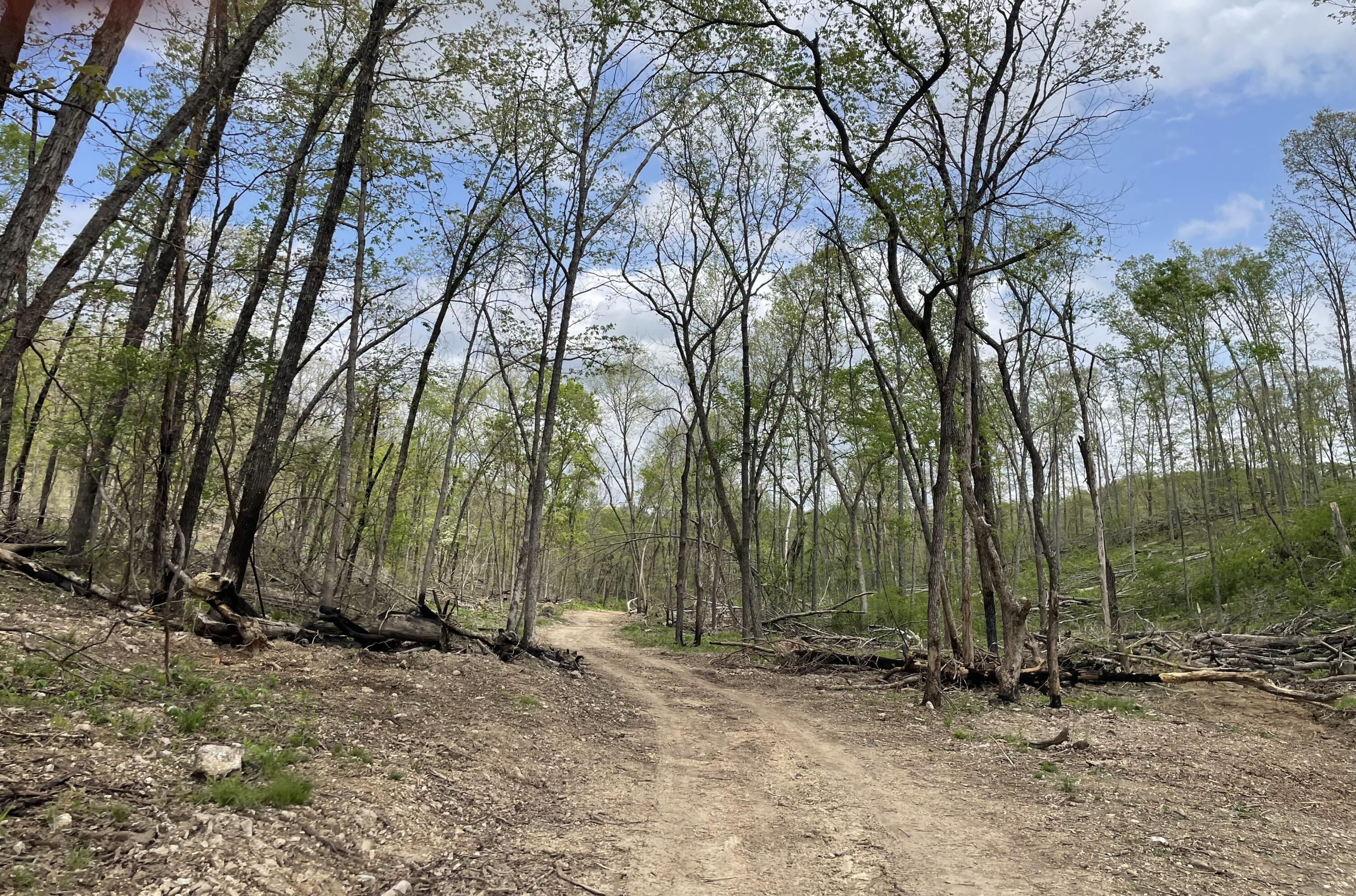 Photo 62 - Land for sale – 000  State Hwy N, Tract G   Ava, MO