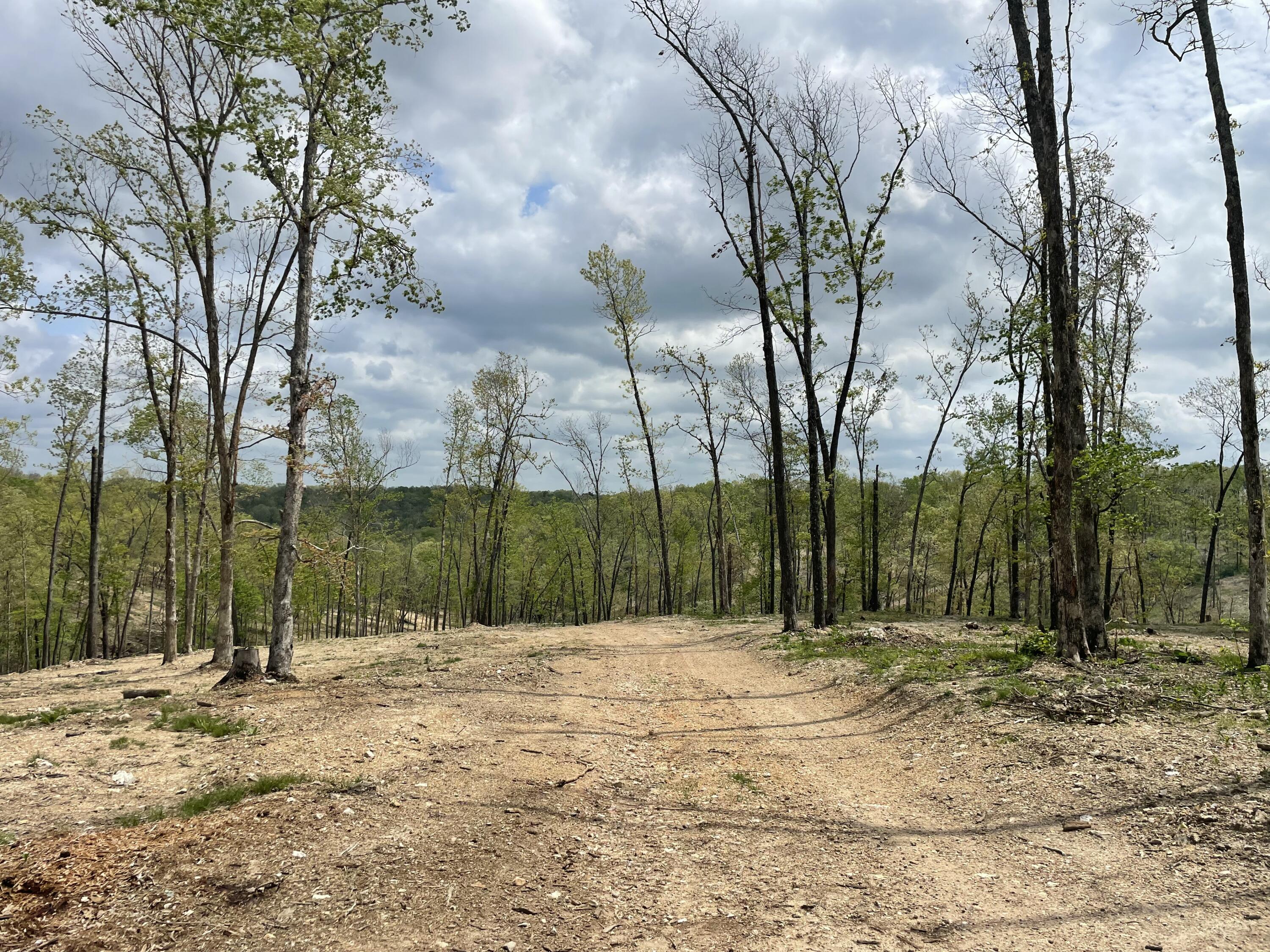 Photo 32 - Land for sale – 000  State Hwy N, Tract G   Ava, MO