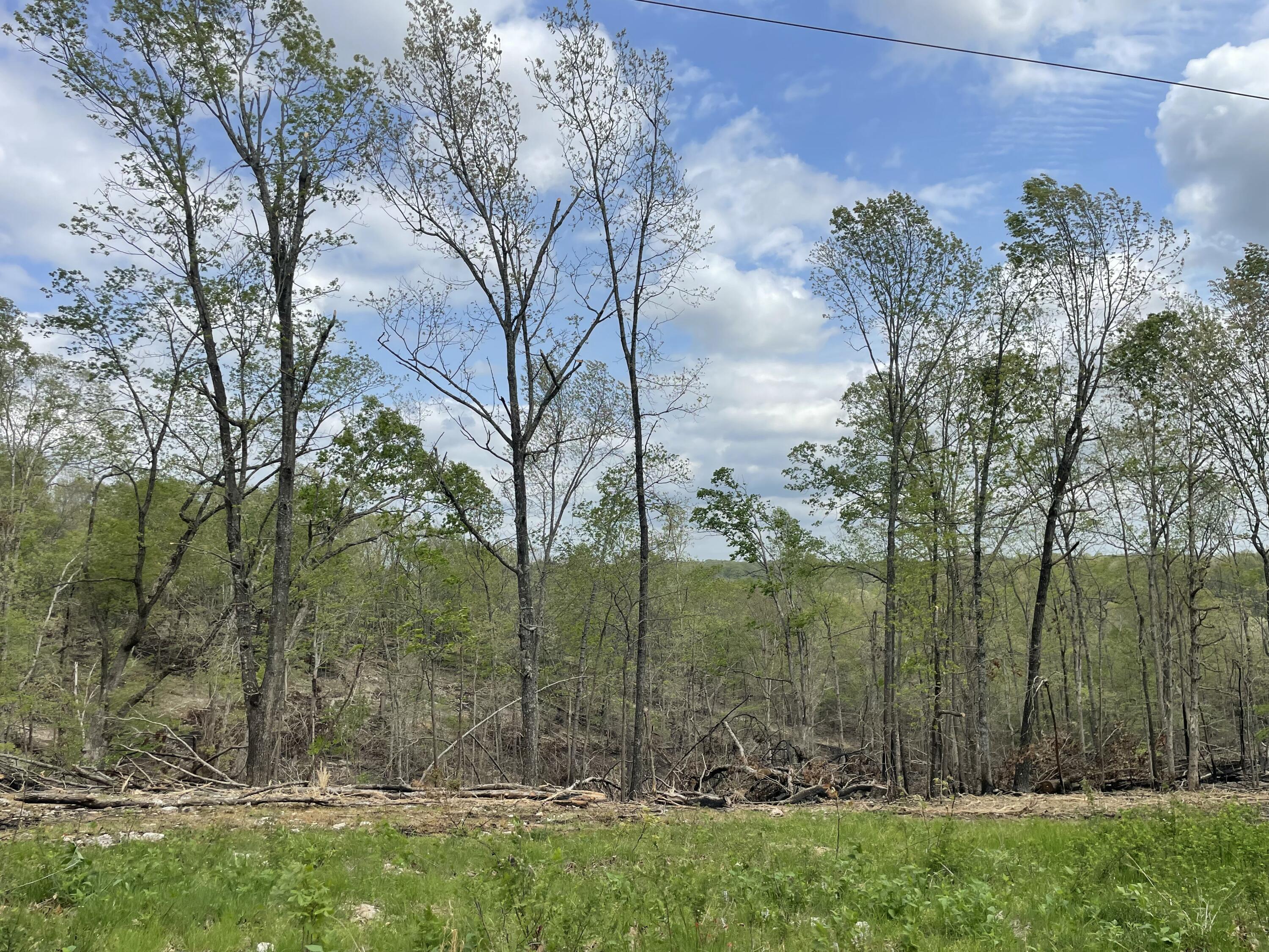 Photo 56 - Land for sale – 000  State Hwy N, Tract G   Ava, MO