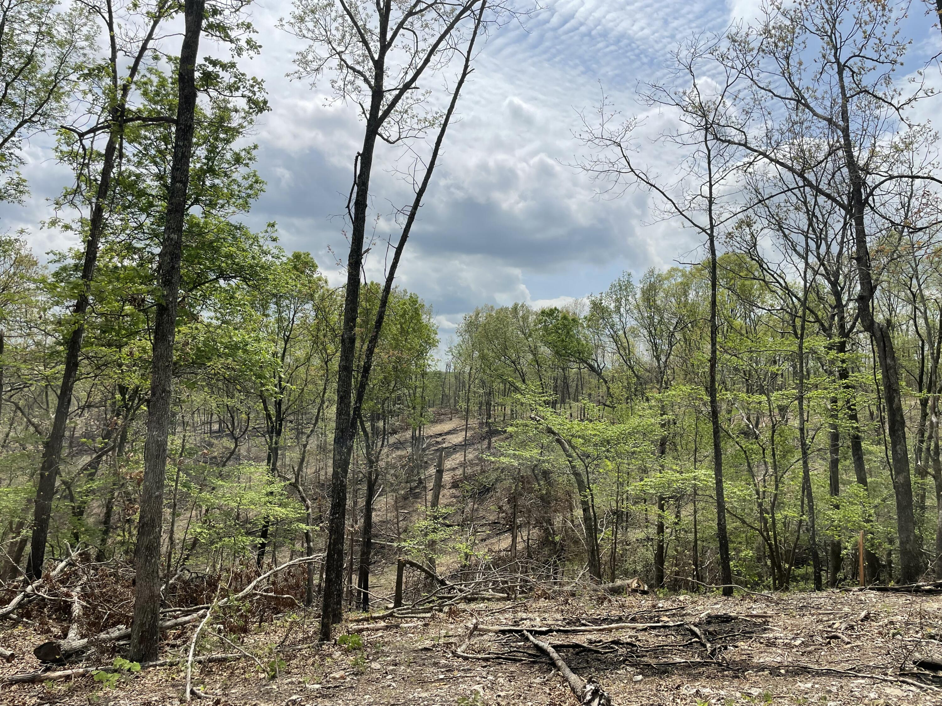 Photo 51 - Land for sale – 000  State Hwy N, Tract G   Ava, MO