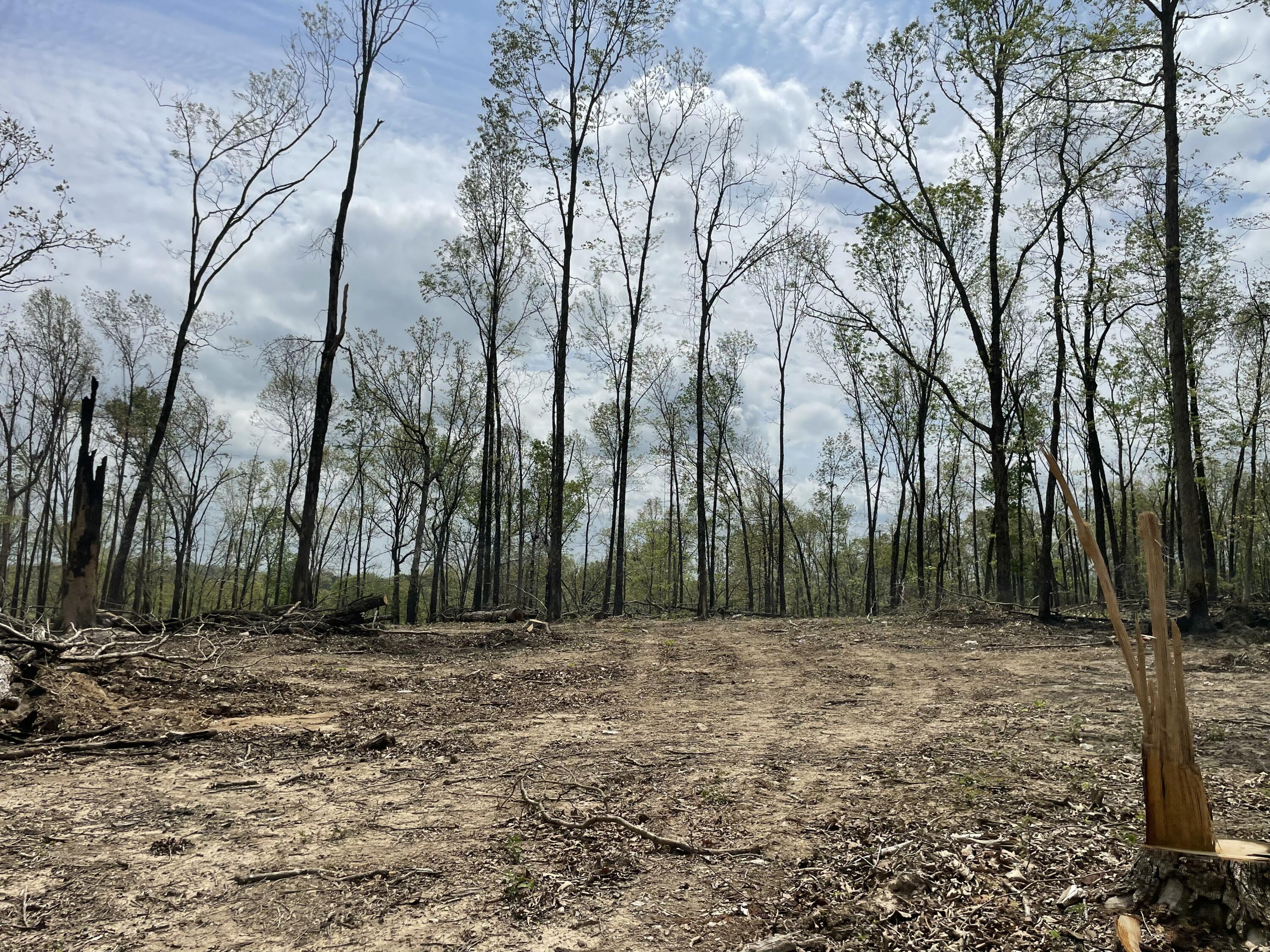 Photo 42 - Land for sale – 000  State Hwy N, Tract G   Ava, MO