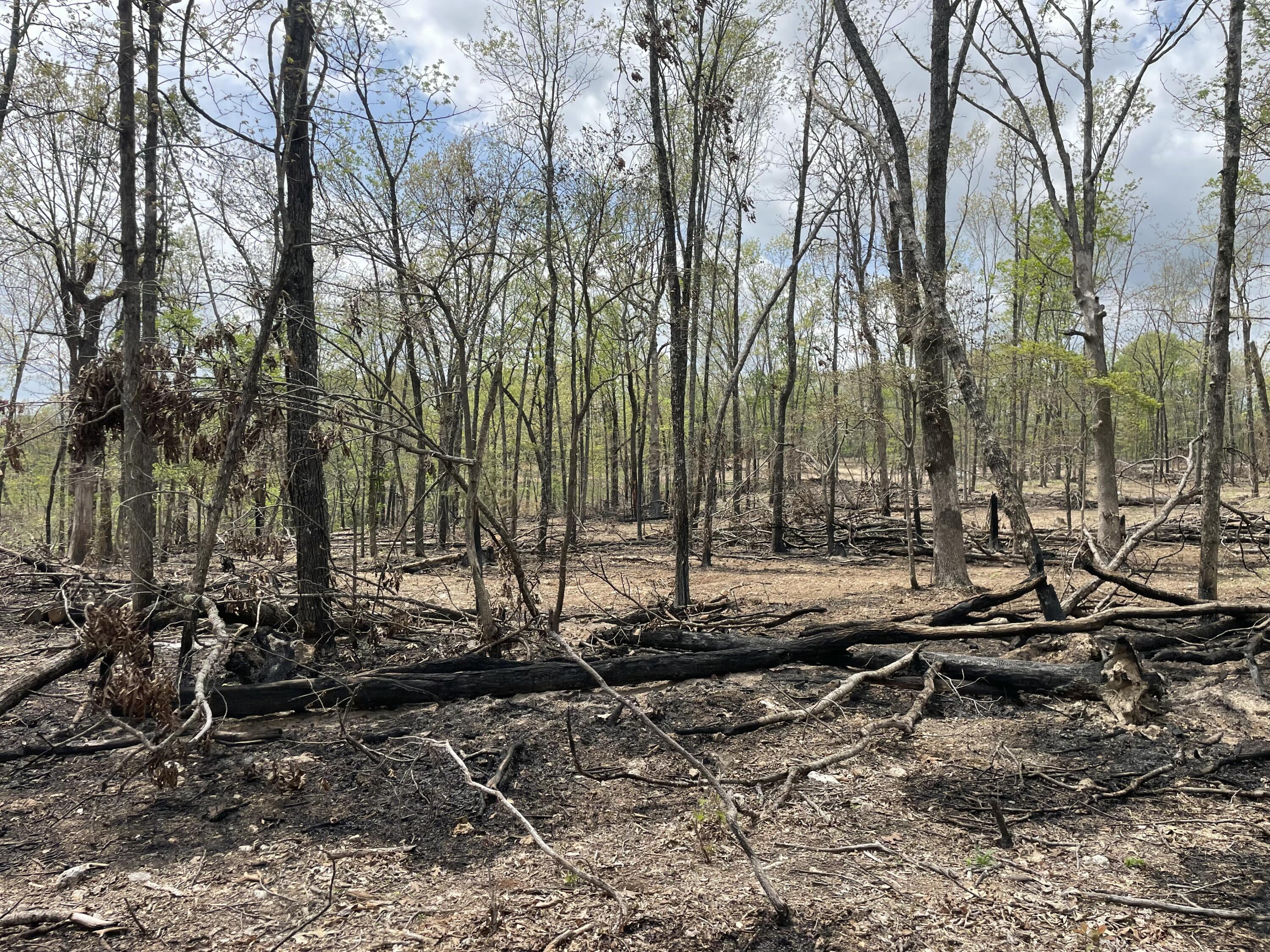 Photo 45 - Land for sale – 000  State Hwy N, Tract G   Ava, MO