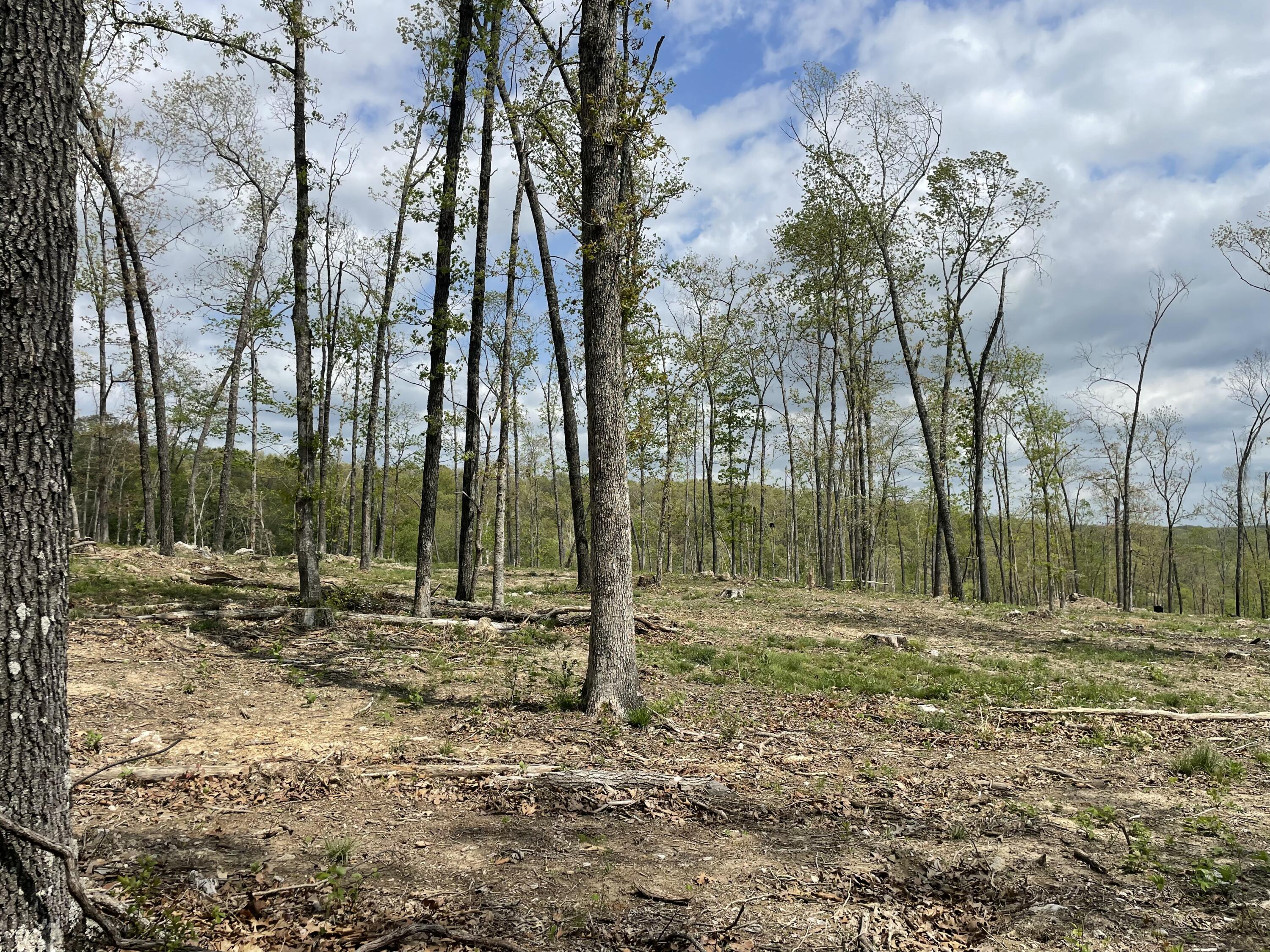 Photo 28 - Land for sale – 000  State Hwy N, Tract G   Ava, MO