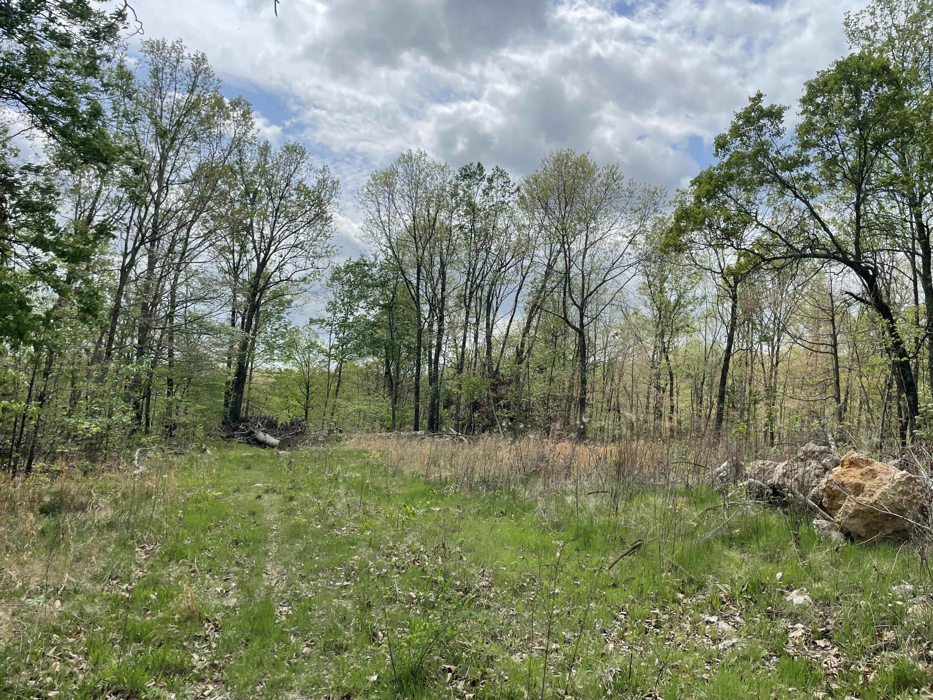 Photo 2 - Land for sale – 000  State Hwy N, Tract G   Ava, MO