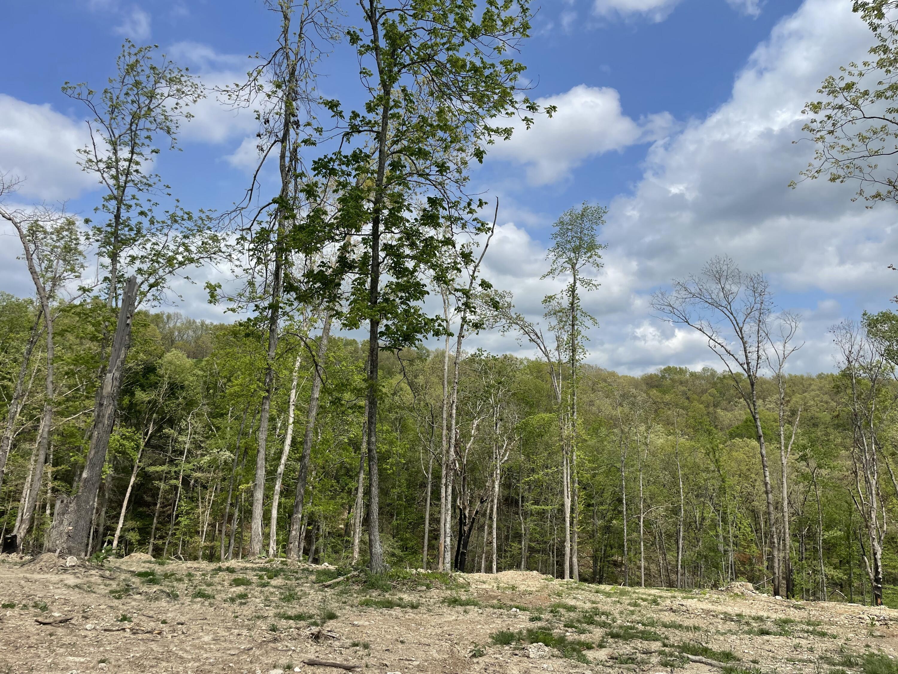 Photo 33 - Land for sale – 000  State Hwy N, Tract G   Ava, MO