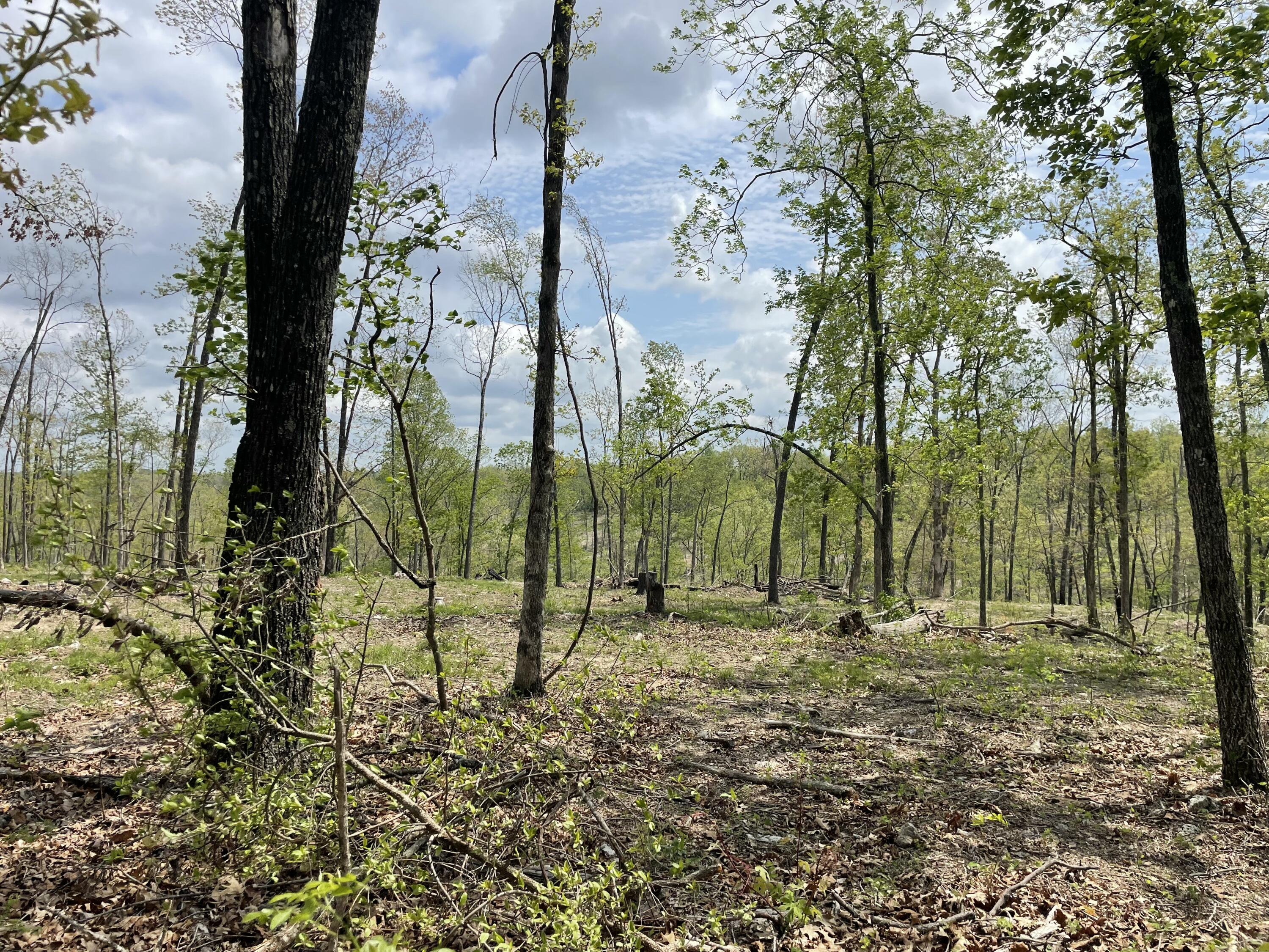 Photo 26 - Land for sale – 000  State Hwy N, Tract G   Ava, MO