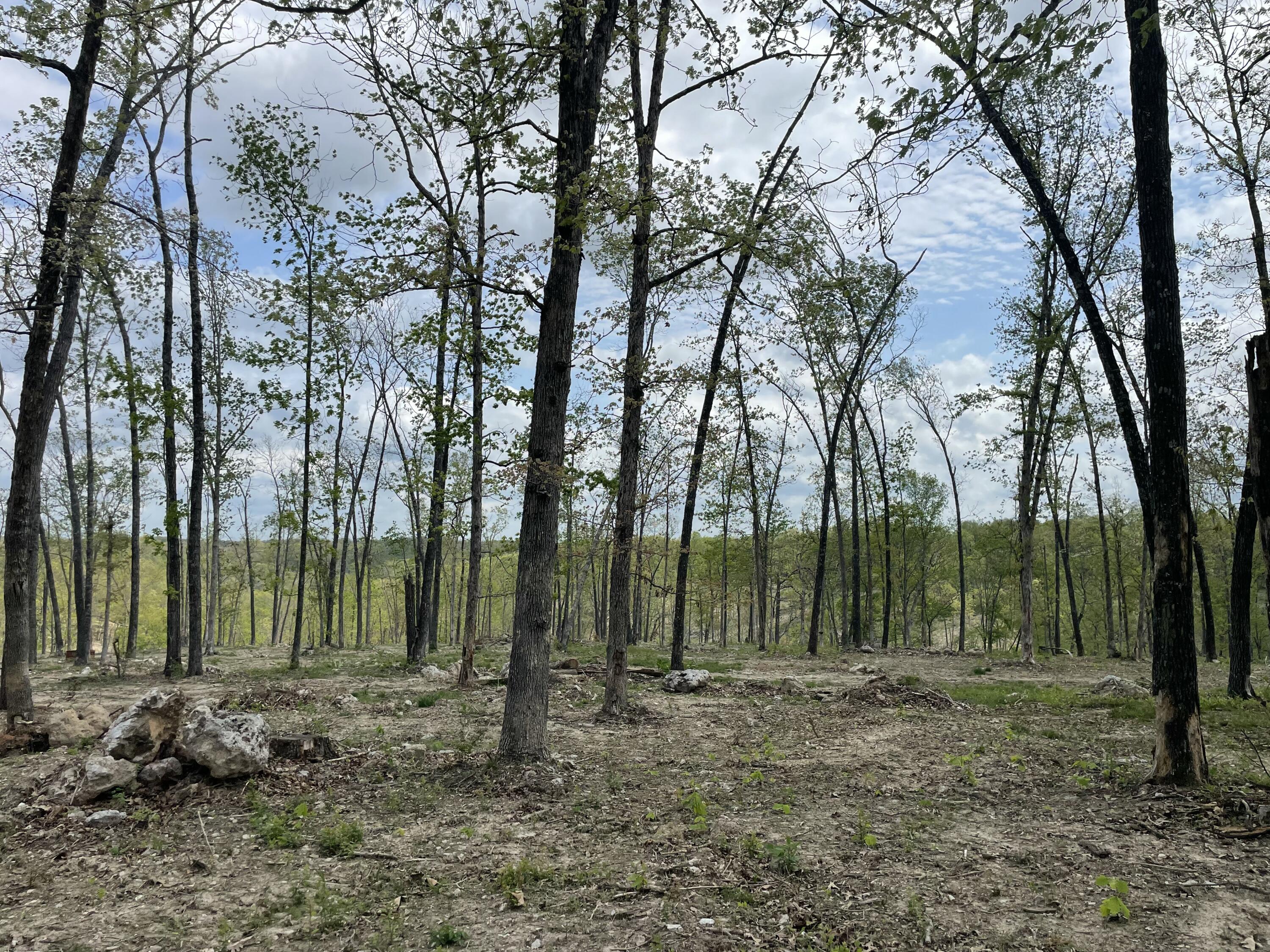 Photo 30 - Land for sale – 000  State Hwy N, Tract G   Ava, MO