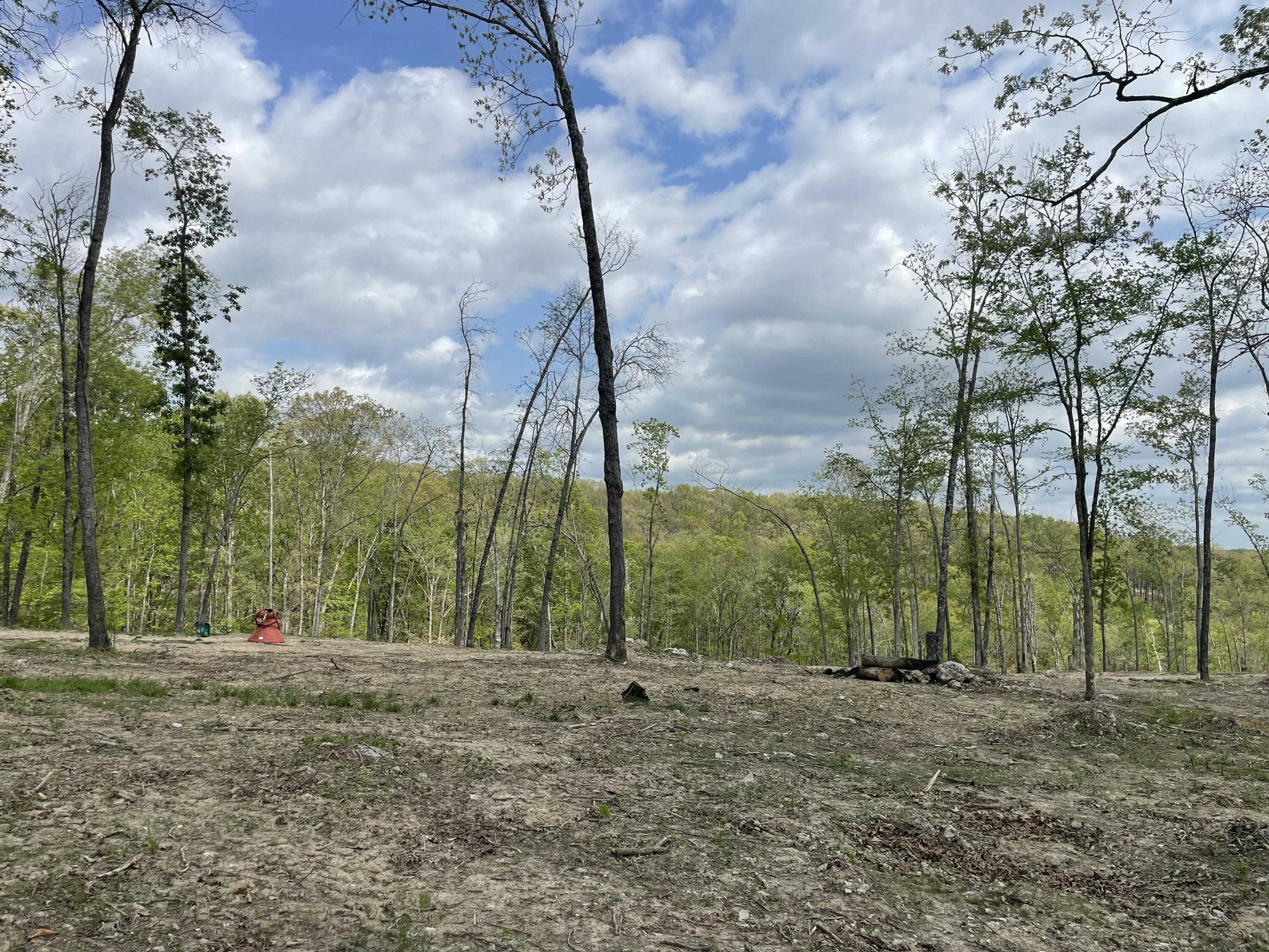 Photo 29 - Land for sale – 000  State Hwy N, Tract G   Ava, MO