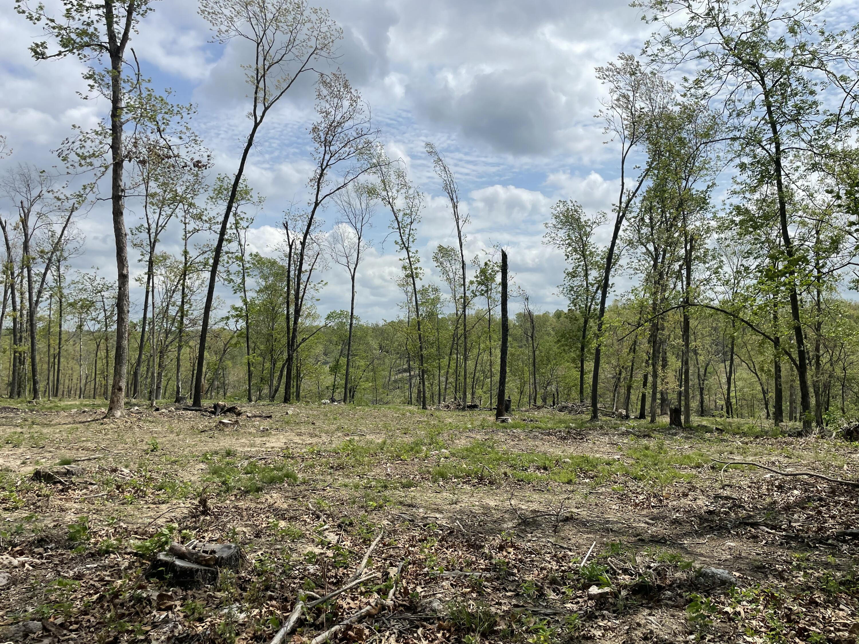 Photo 27 - Land for sale – 000  State Hwy N, Tract G   Ava, MO