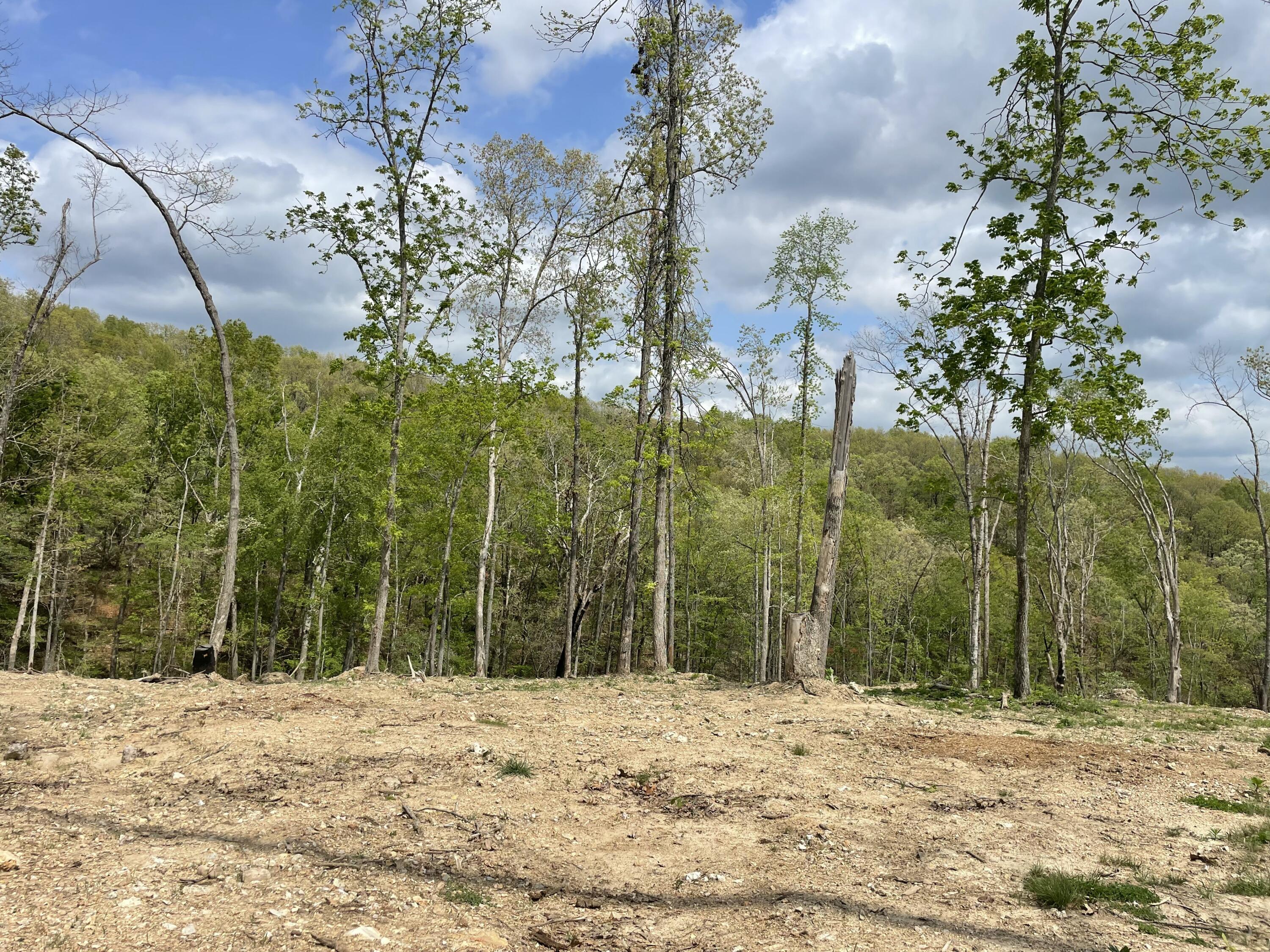 Photo 31 - Land for sale – 000  State Hwy N, Tract G   Ava, MO