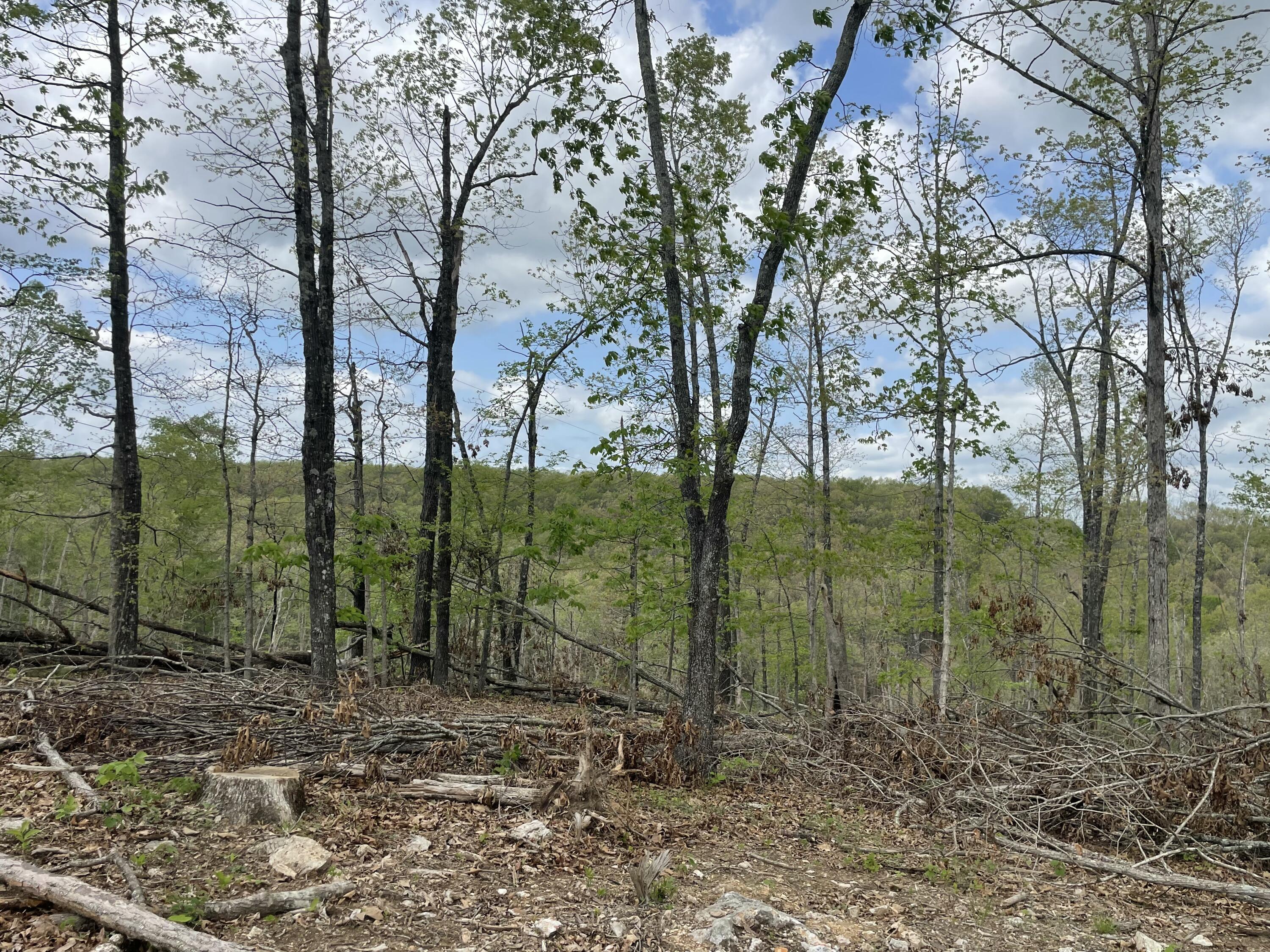 Photo 39 - Land for sale – 000  State Hwy N, Tract G   Ava, MO