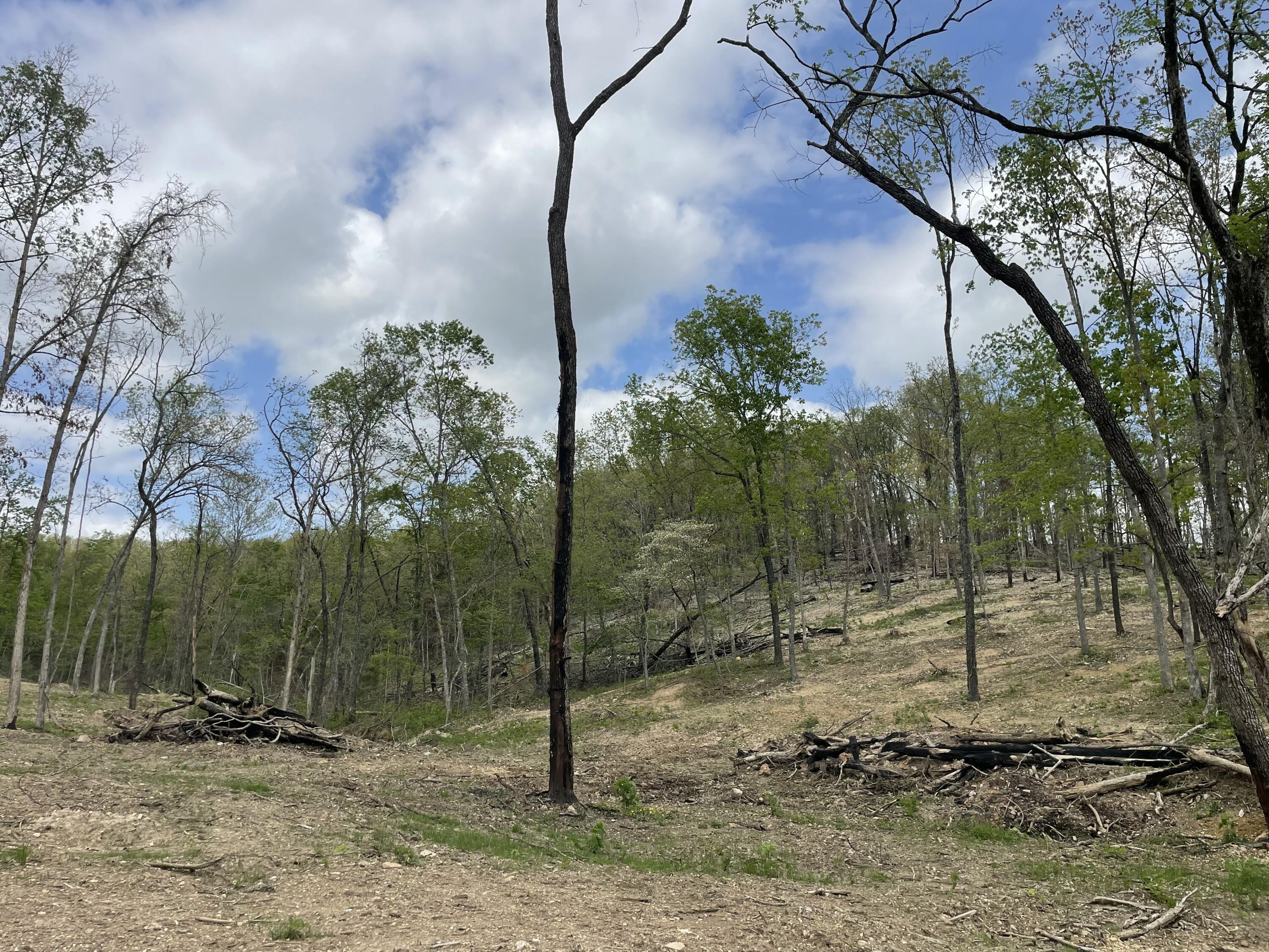 Photo 35 - Land for sale – 000  State Hwy N, Tract G   Ava, MO